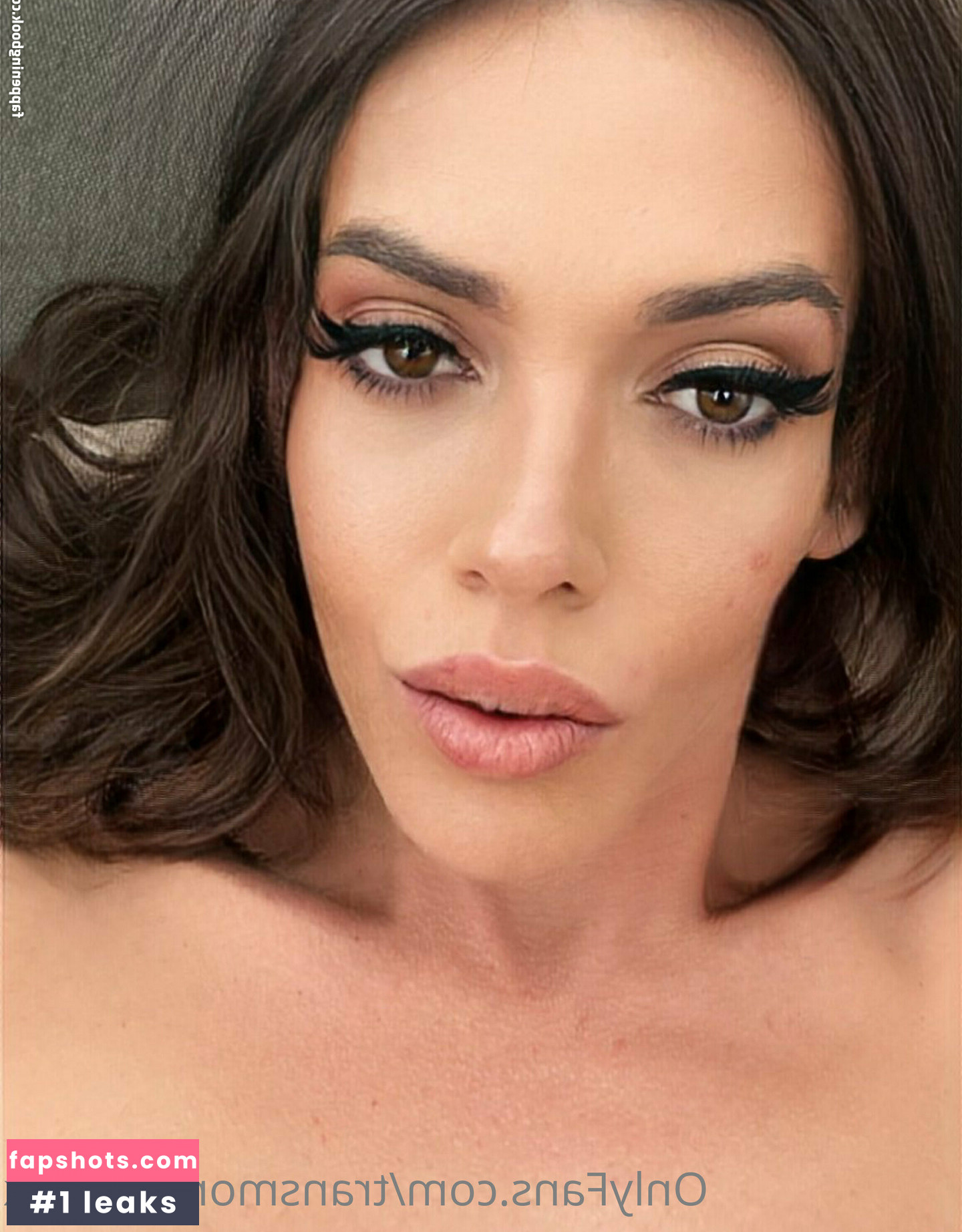 transmonstercock gallery photo #39