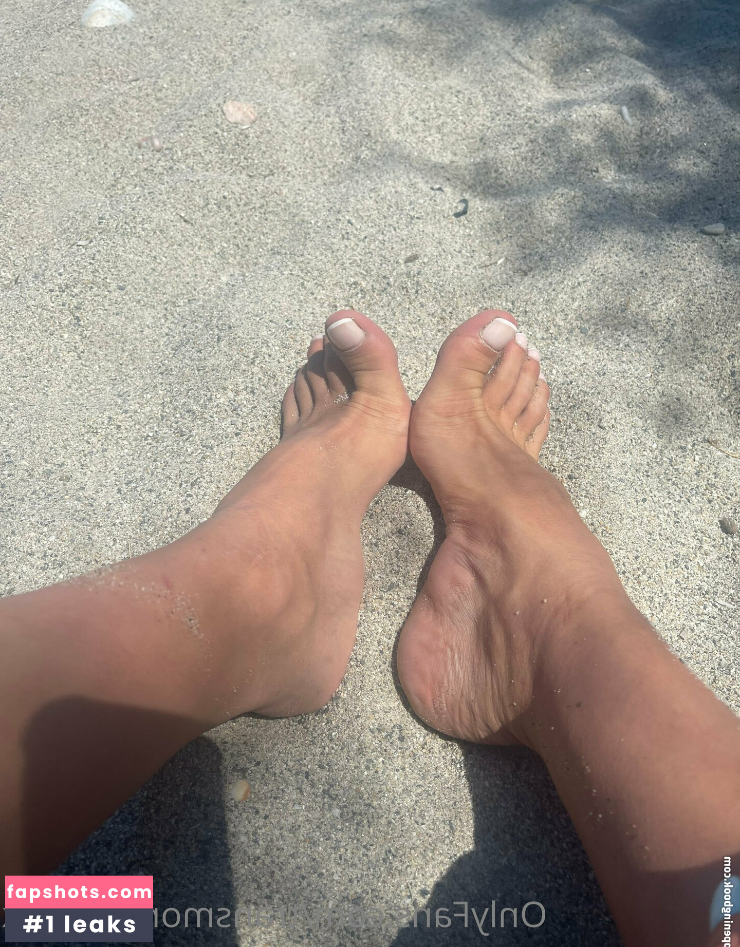 transmonstercock gallery photo #48