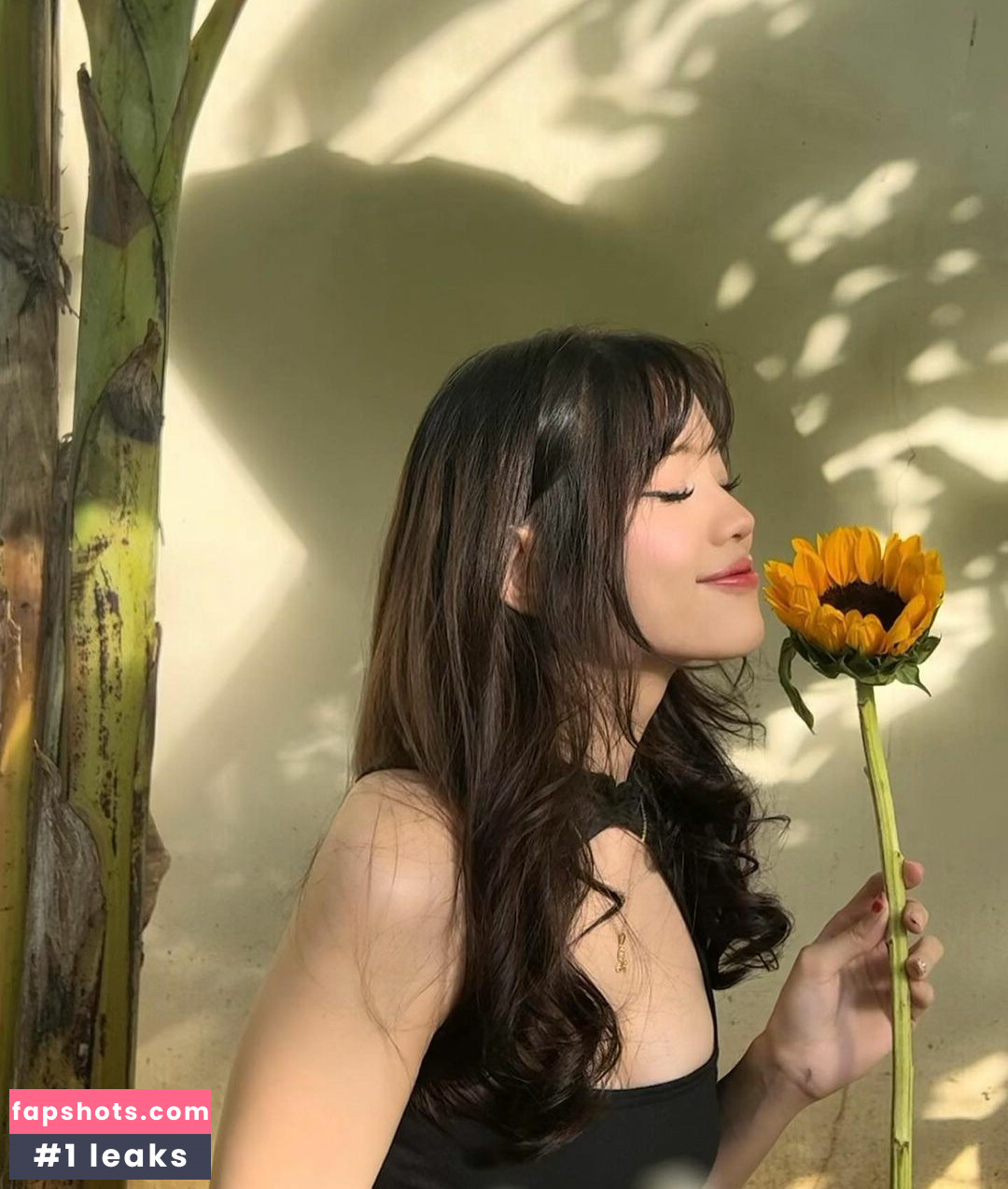 tripppollen gallery photo #10