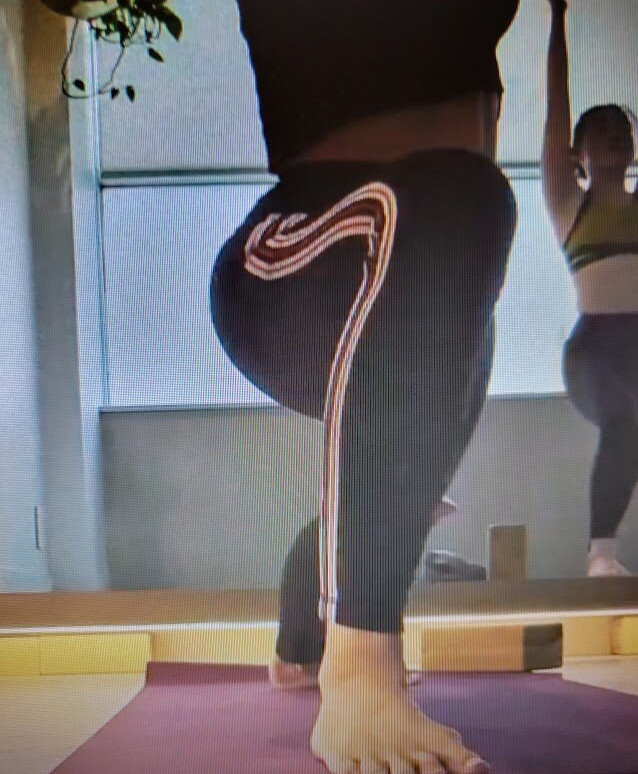 trish-stratus gallery photo #1363