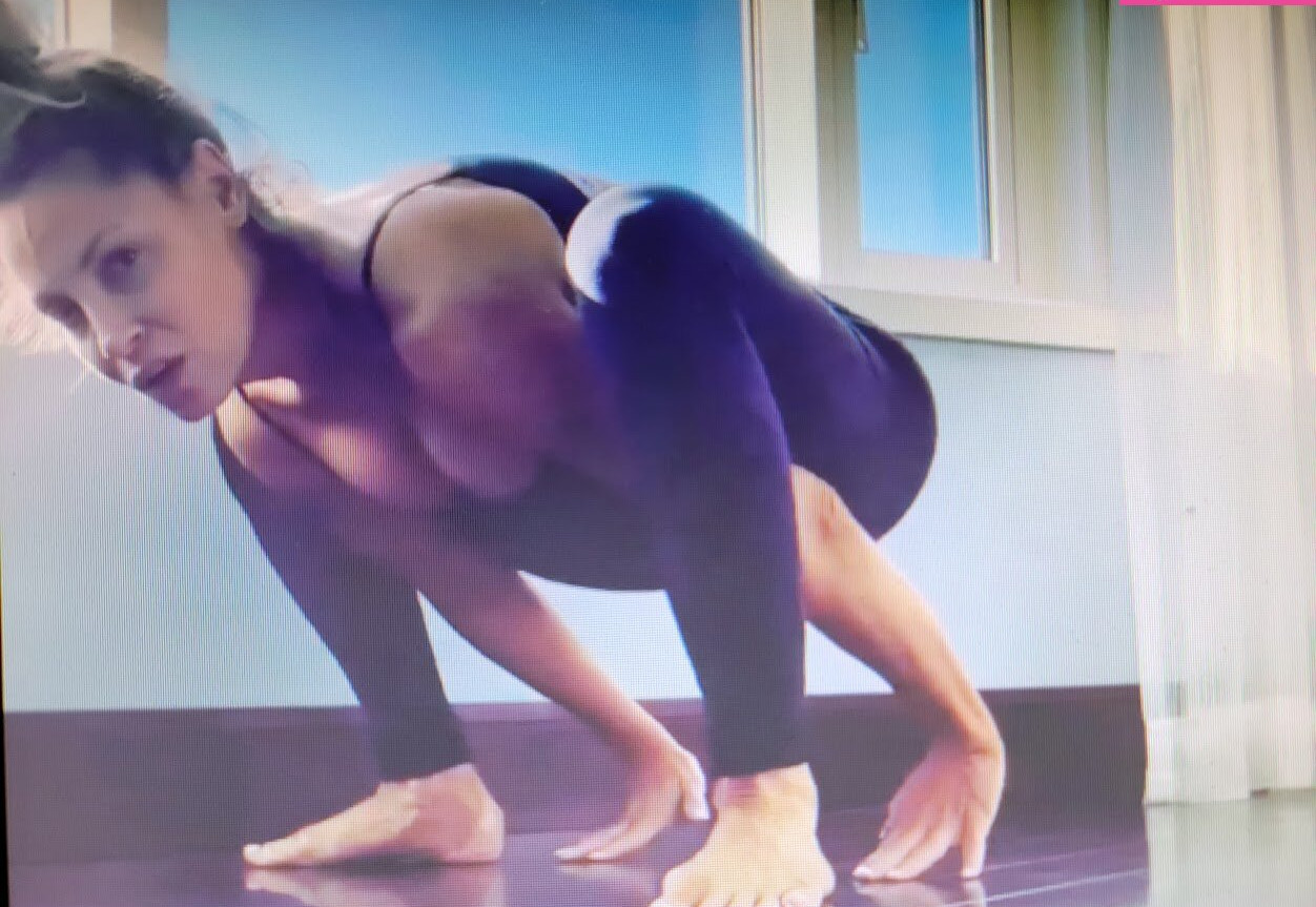 trish-stratus gallery photo #1440