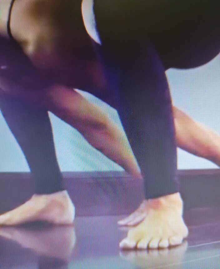 trish-stratus gallery photo #1456