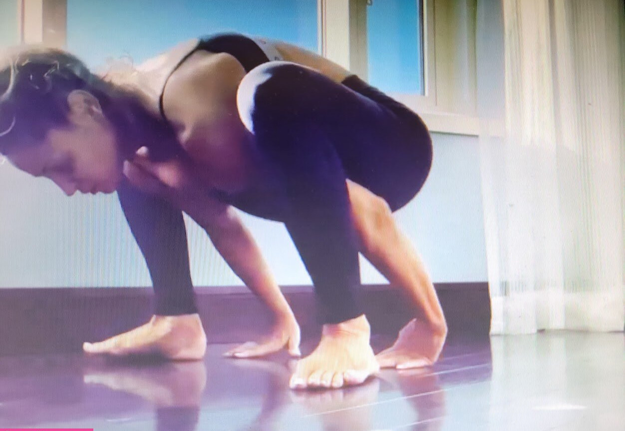 trish-stratus gallery photo #1462