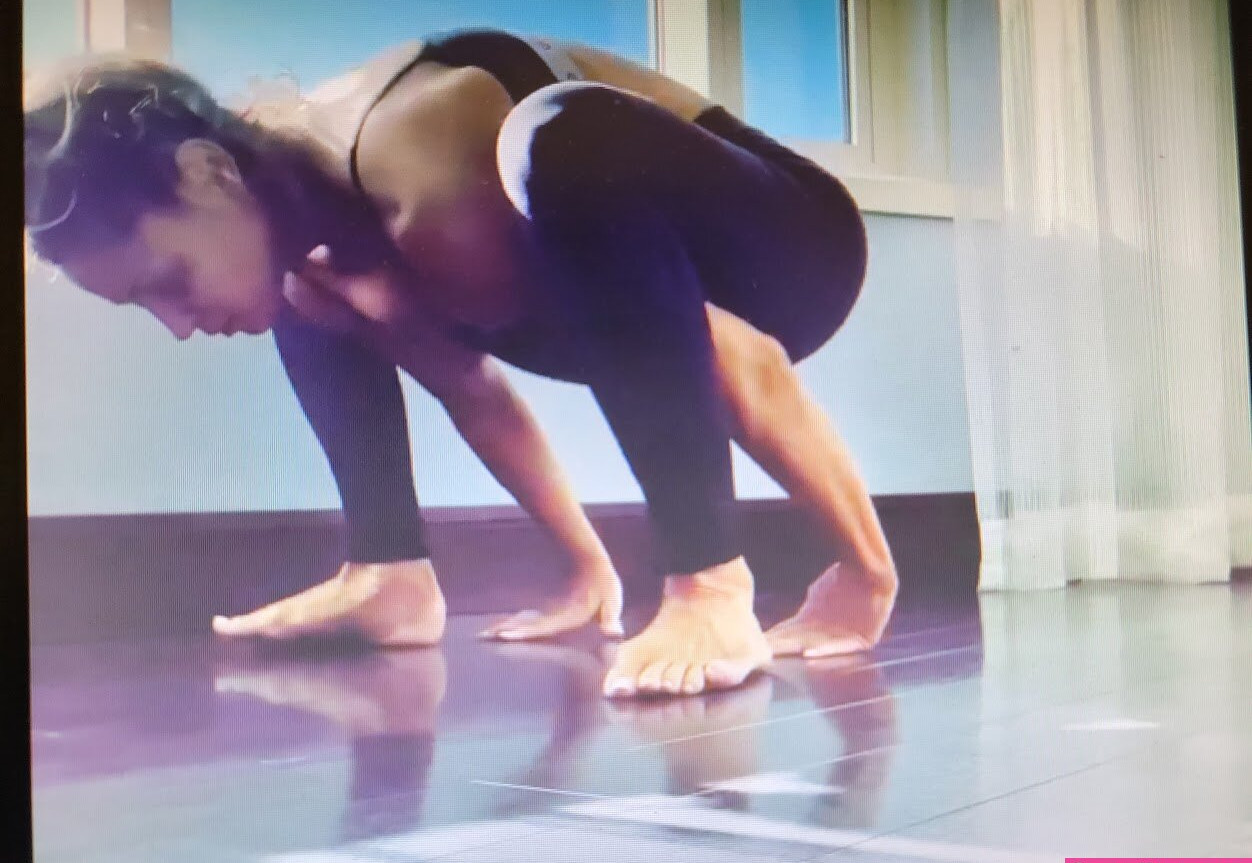 trish-stratus gallery photo #1463