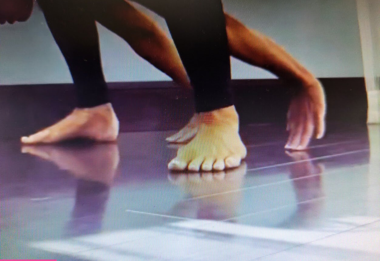 trish-stratus gallery photo #1467