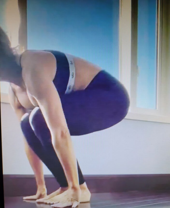 trish-stratus gallery photo #1513