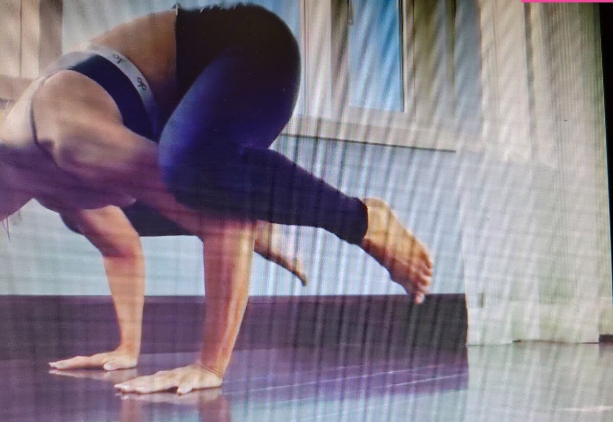 trish-stratus gallery photo #1521