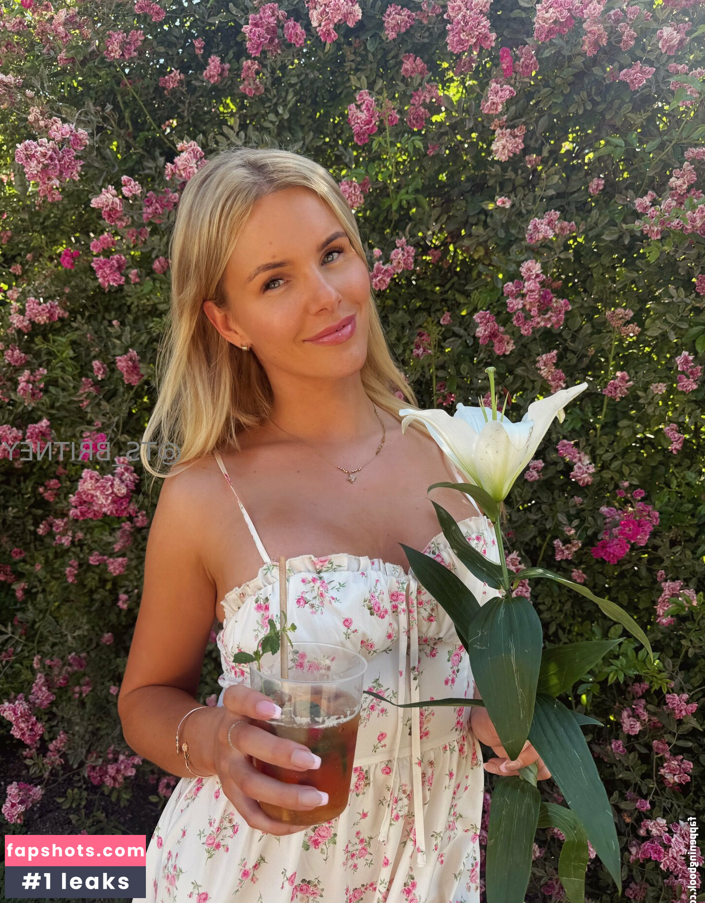 ts_britney Nude Leaks OnlyFans Photos #16 - LeakJerk