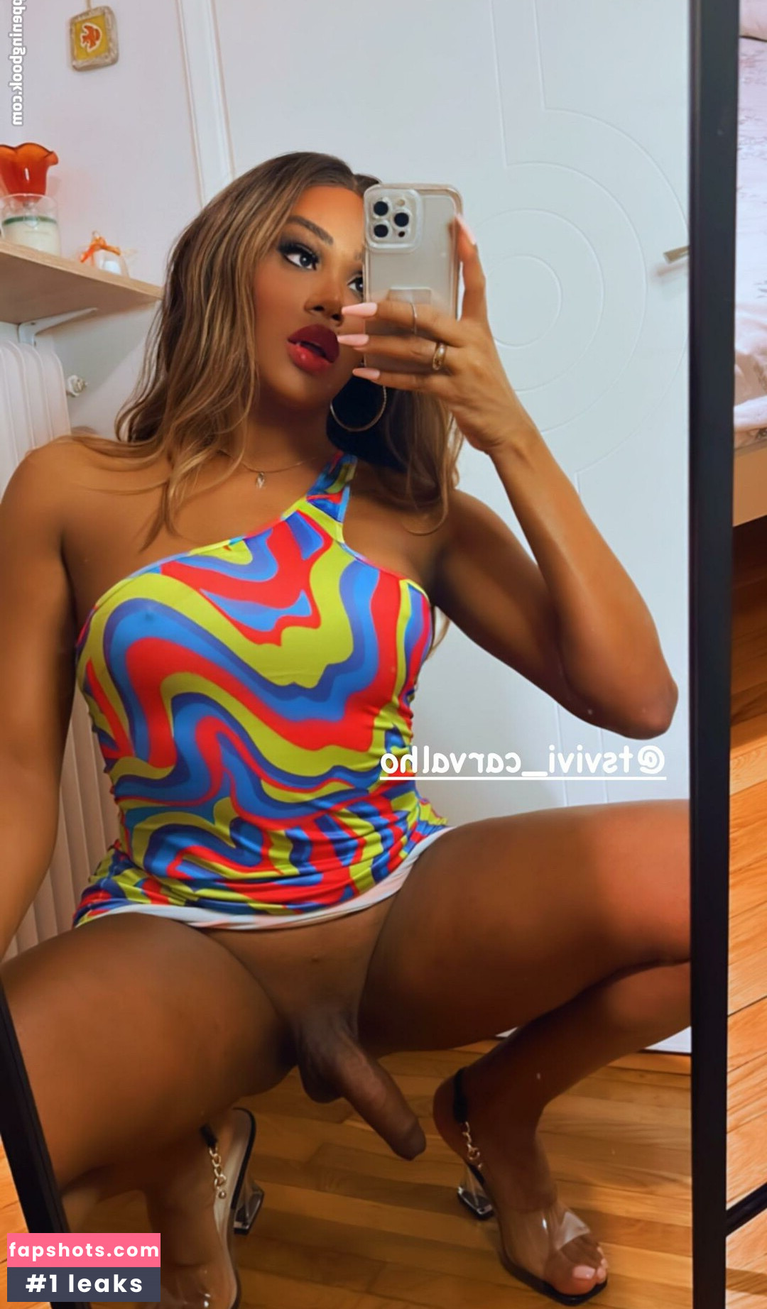 TS Vivi Carvalho gallery photo #11