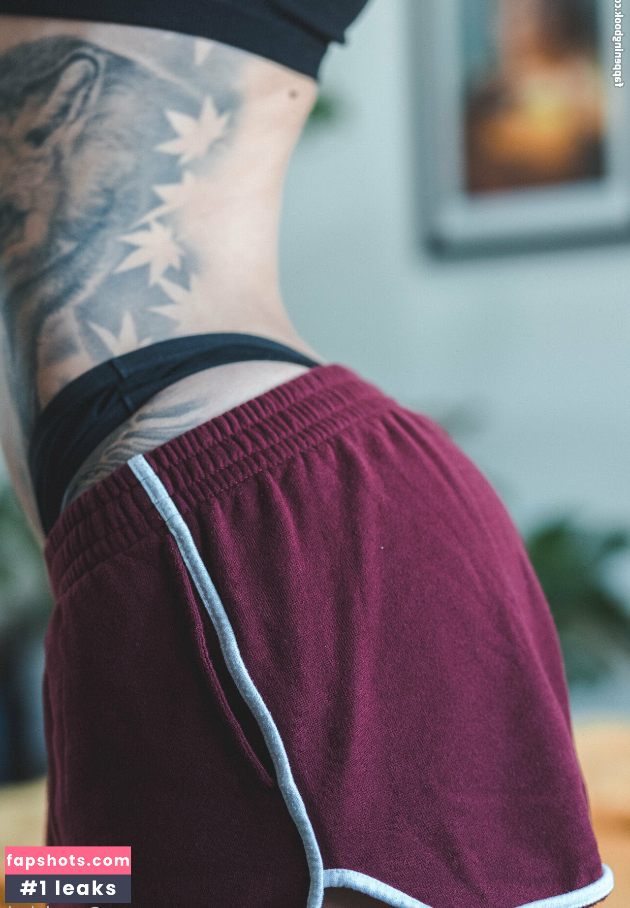 tundabolt gallery photo #5