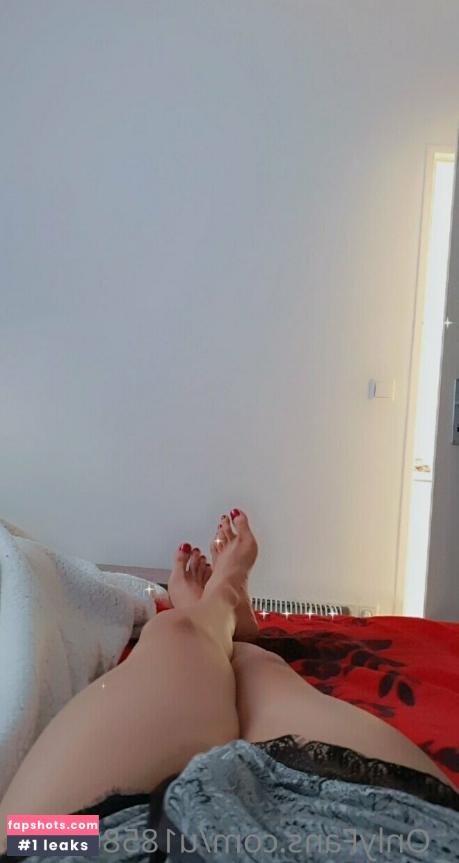 u185803099 gallery photo #13