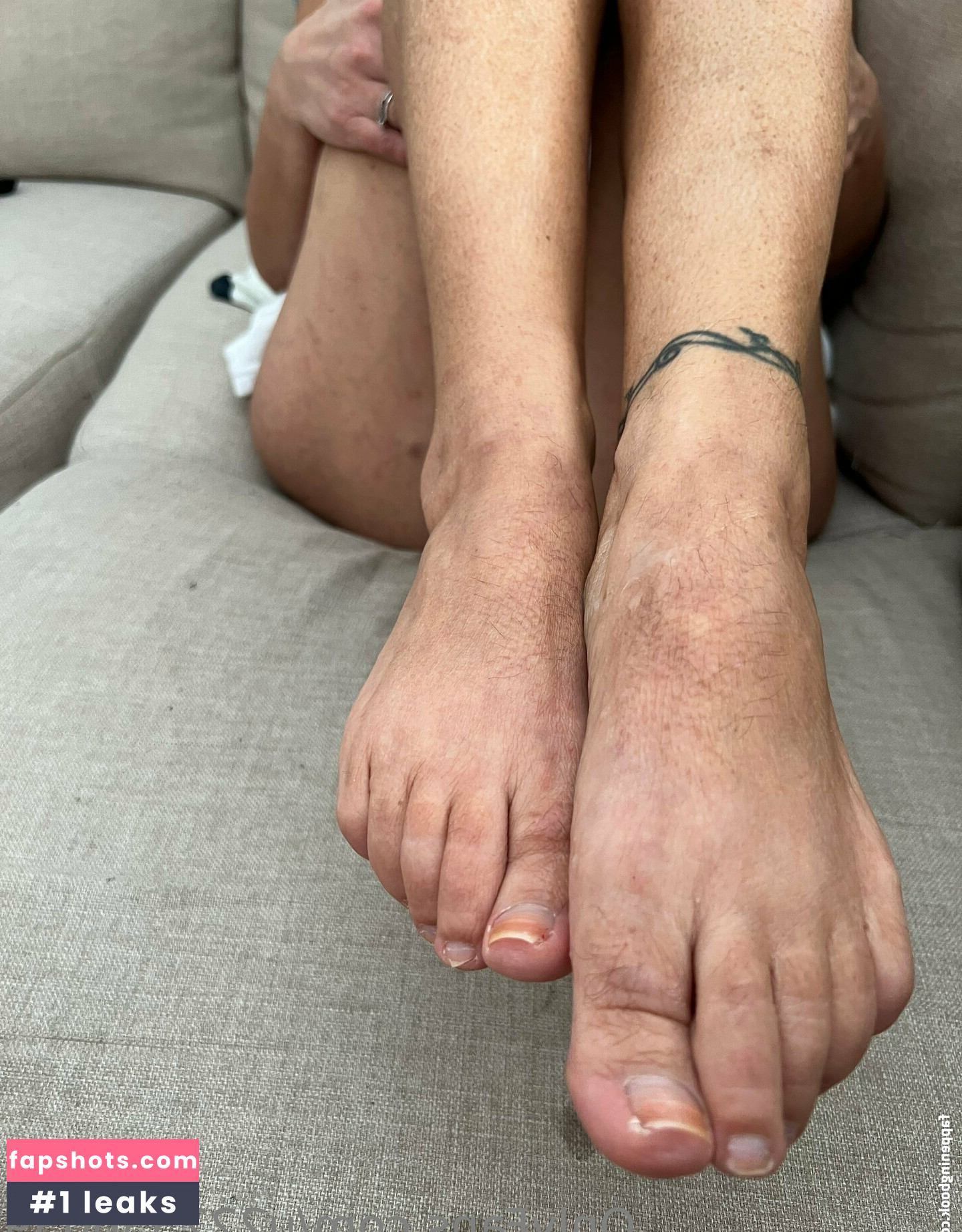 u222356039 gallery photo #25