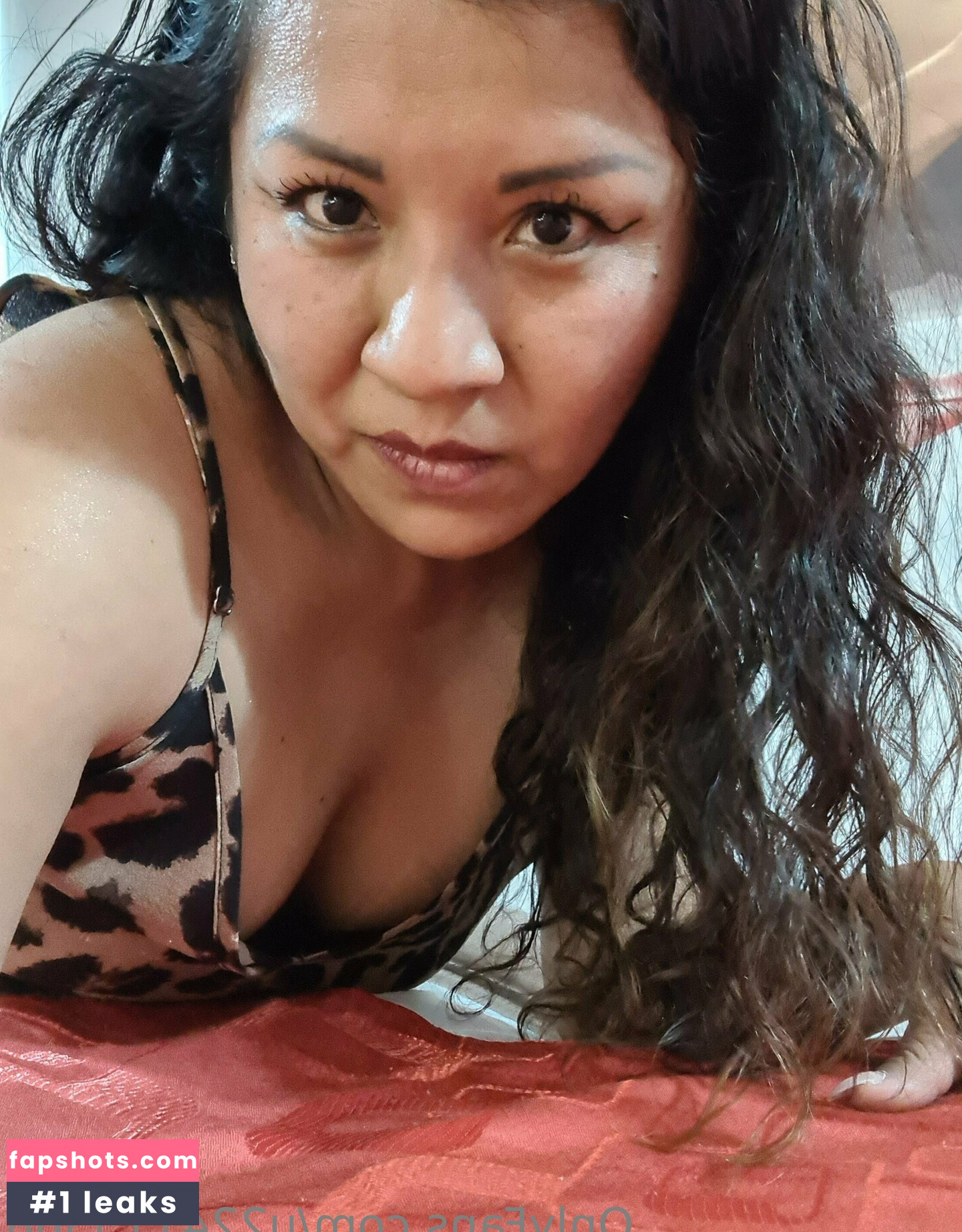 u224115368 gallery photo #15