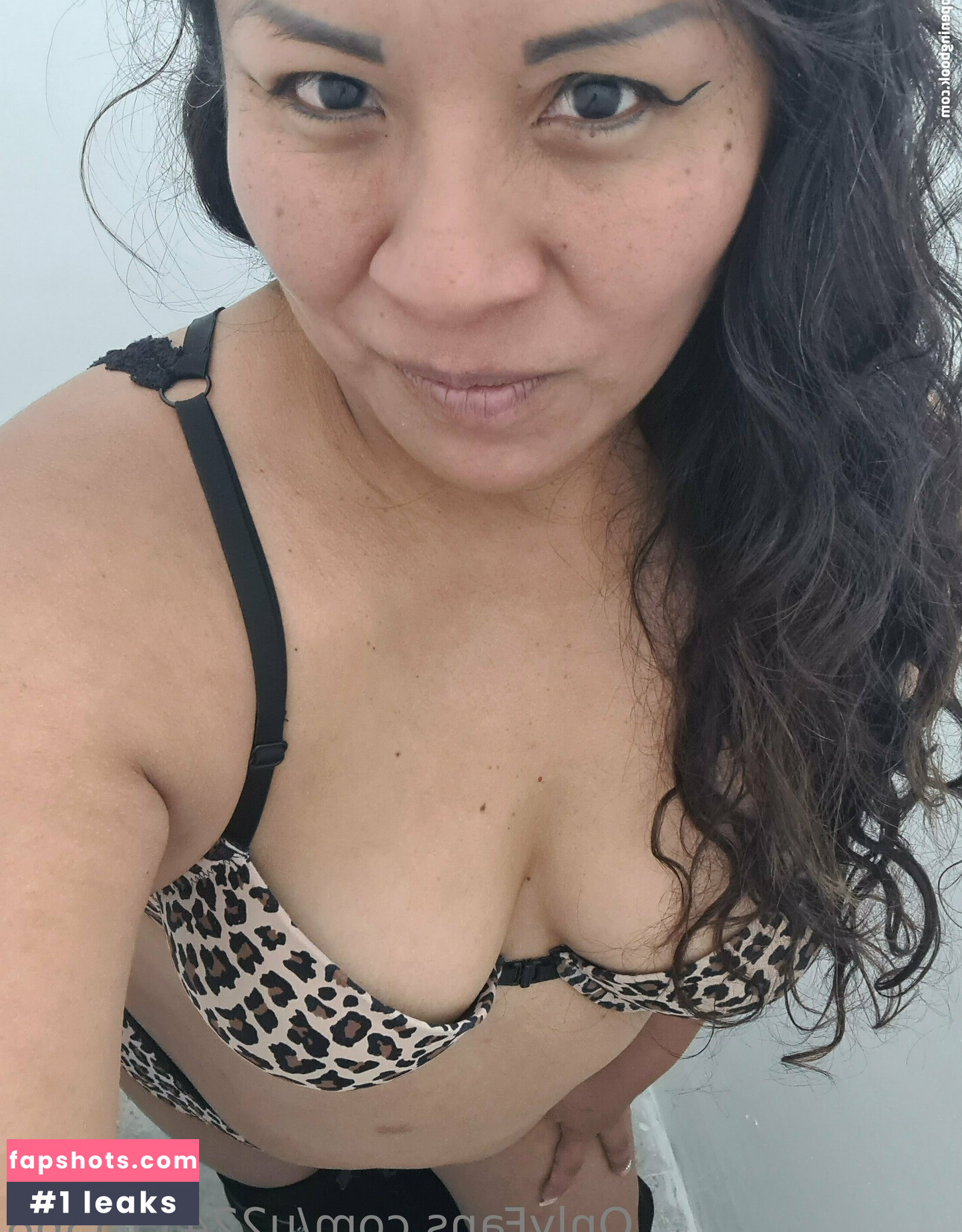 u224115368 gallery photo #19