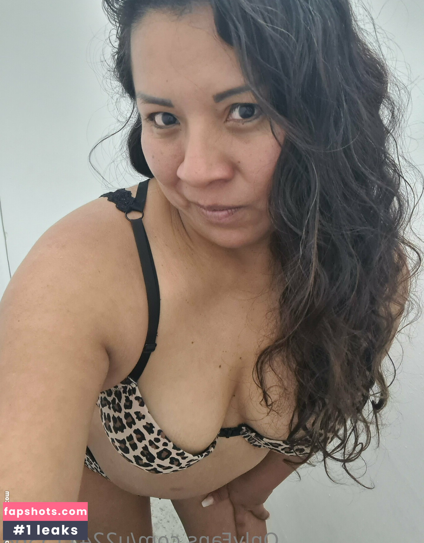 u224115368 gallery photo #26