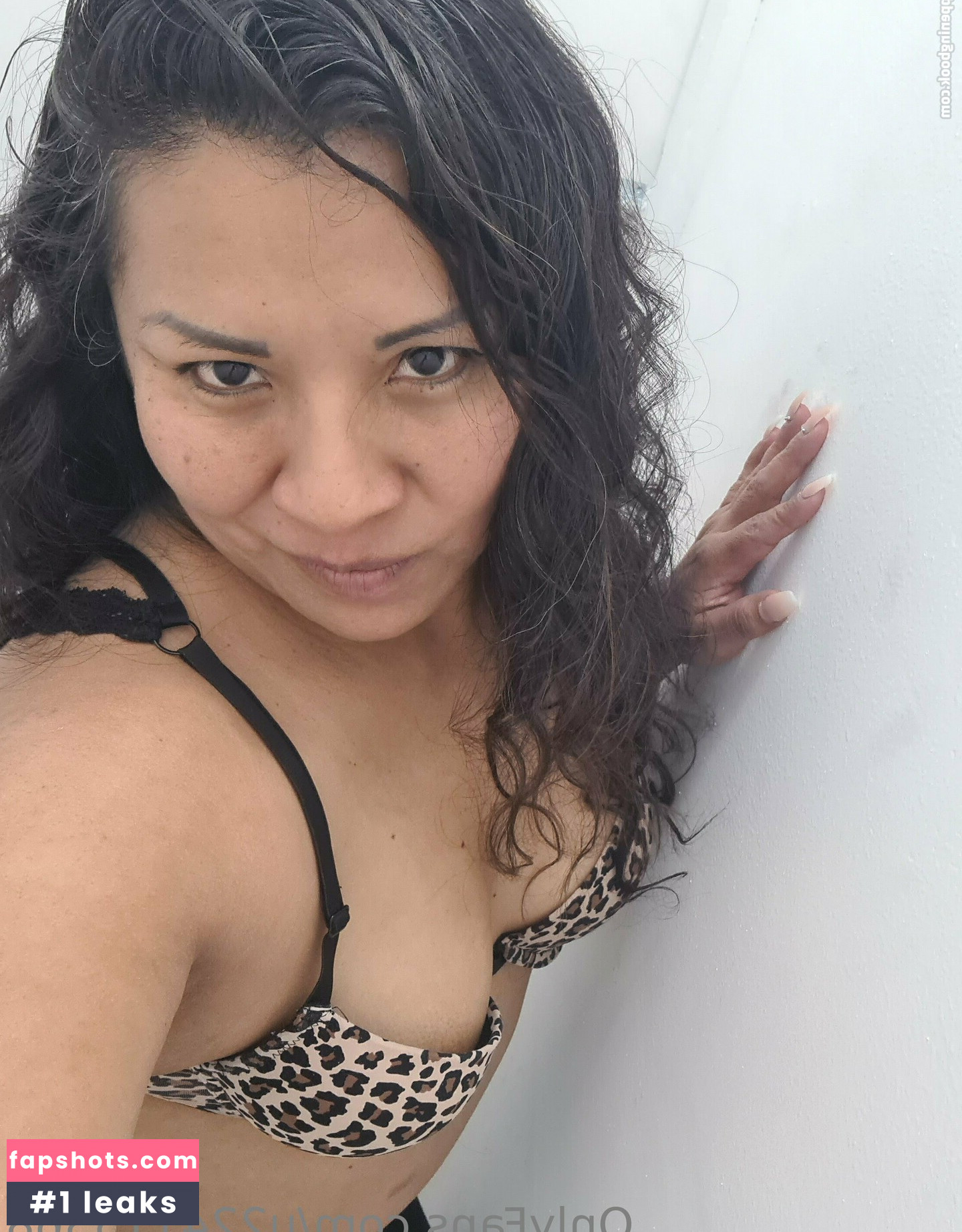 u224115368 gallery photo #7