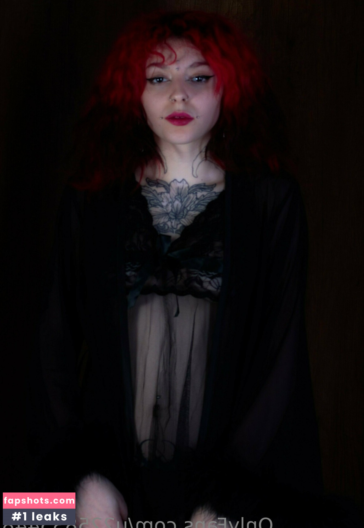 u225835448 gallery photo #19