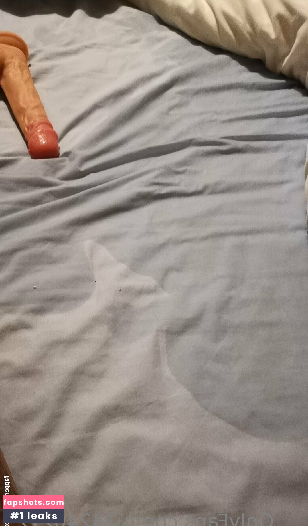 u242402729 gallery photo #18