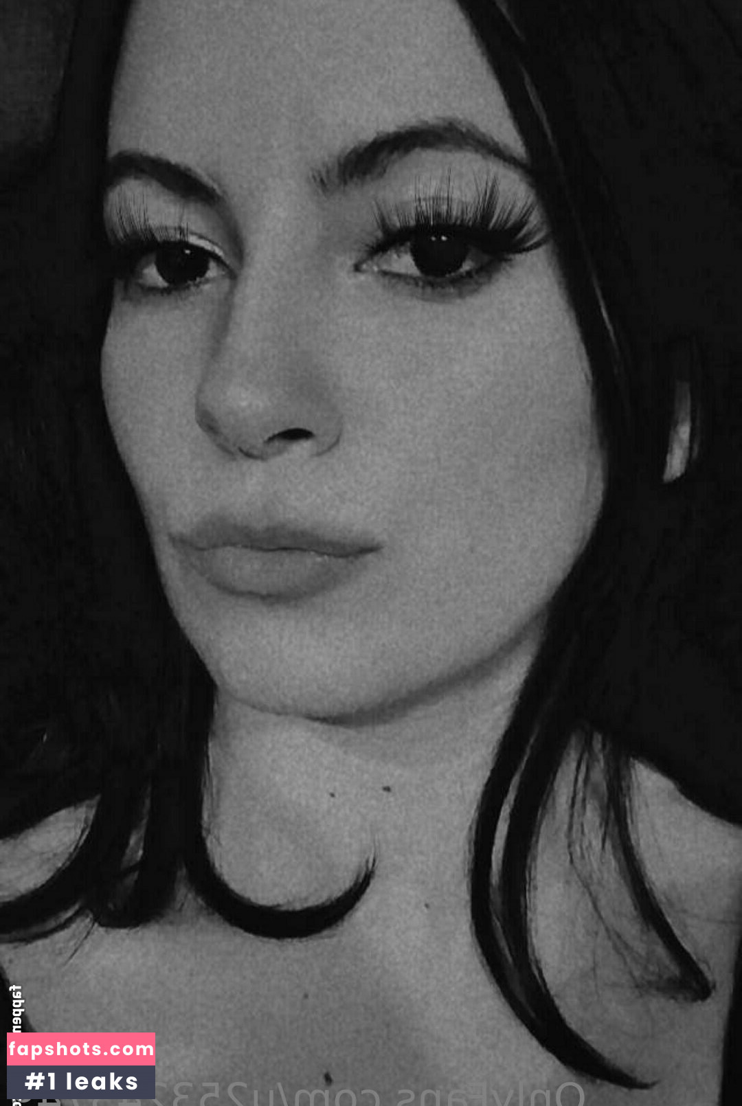 u253243749 gallery photo #11