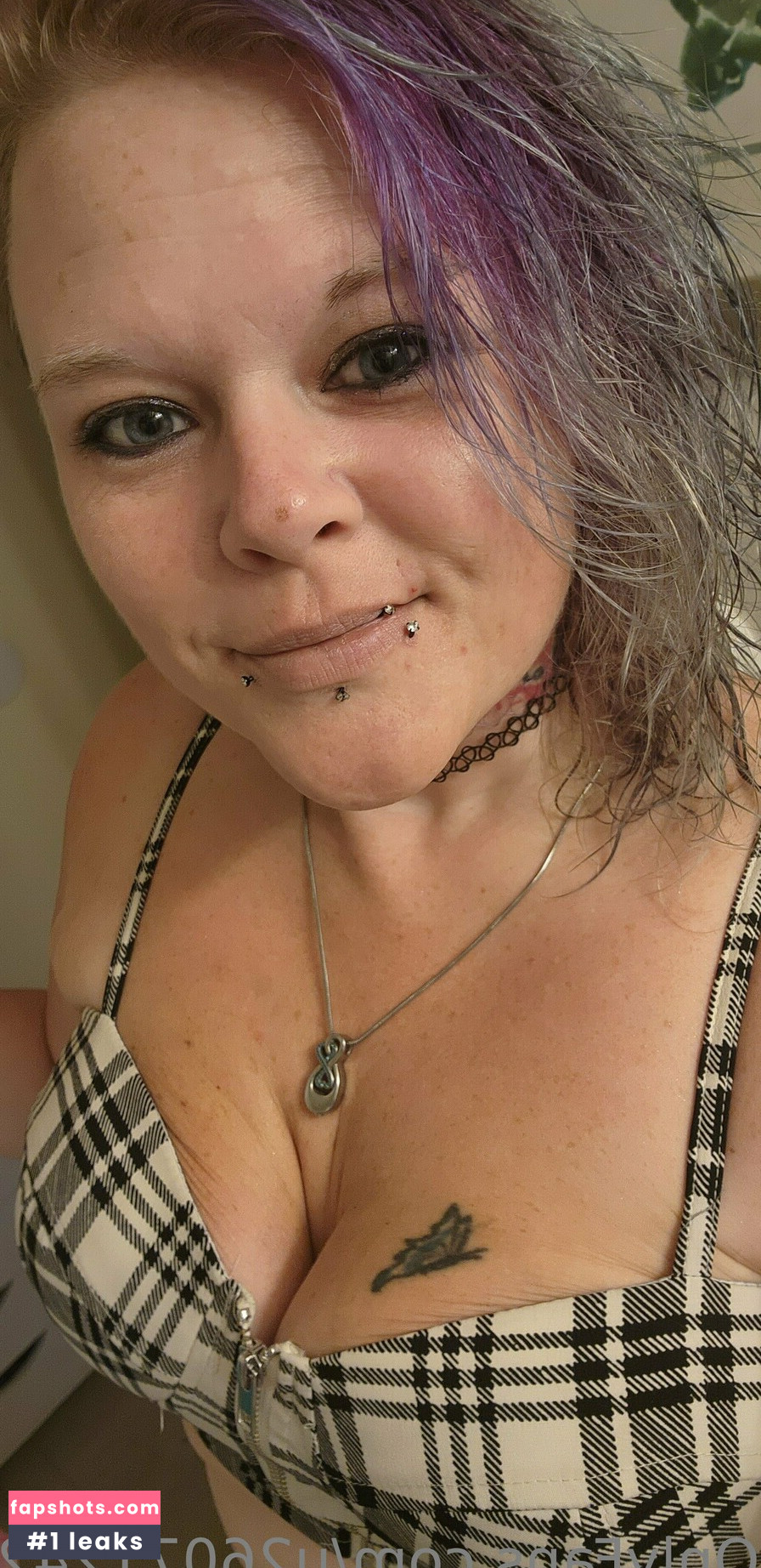 u260712429 gallery photo #14