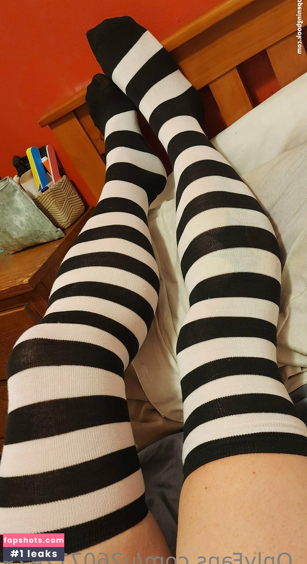 u260712429 gallery photo #9