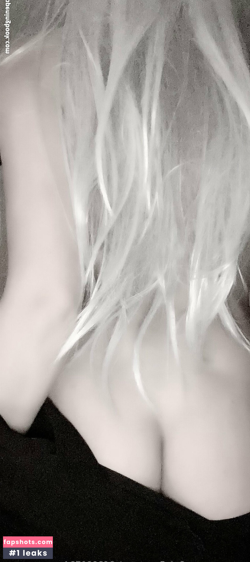 u262880724 gallery photo #18