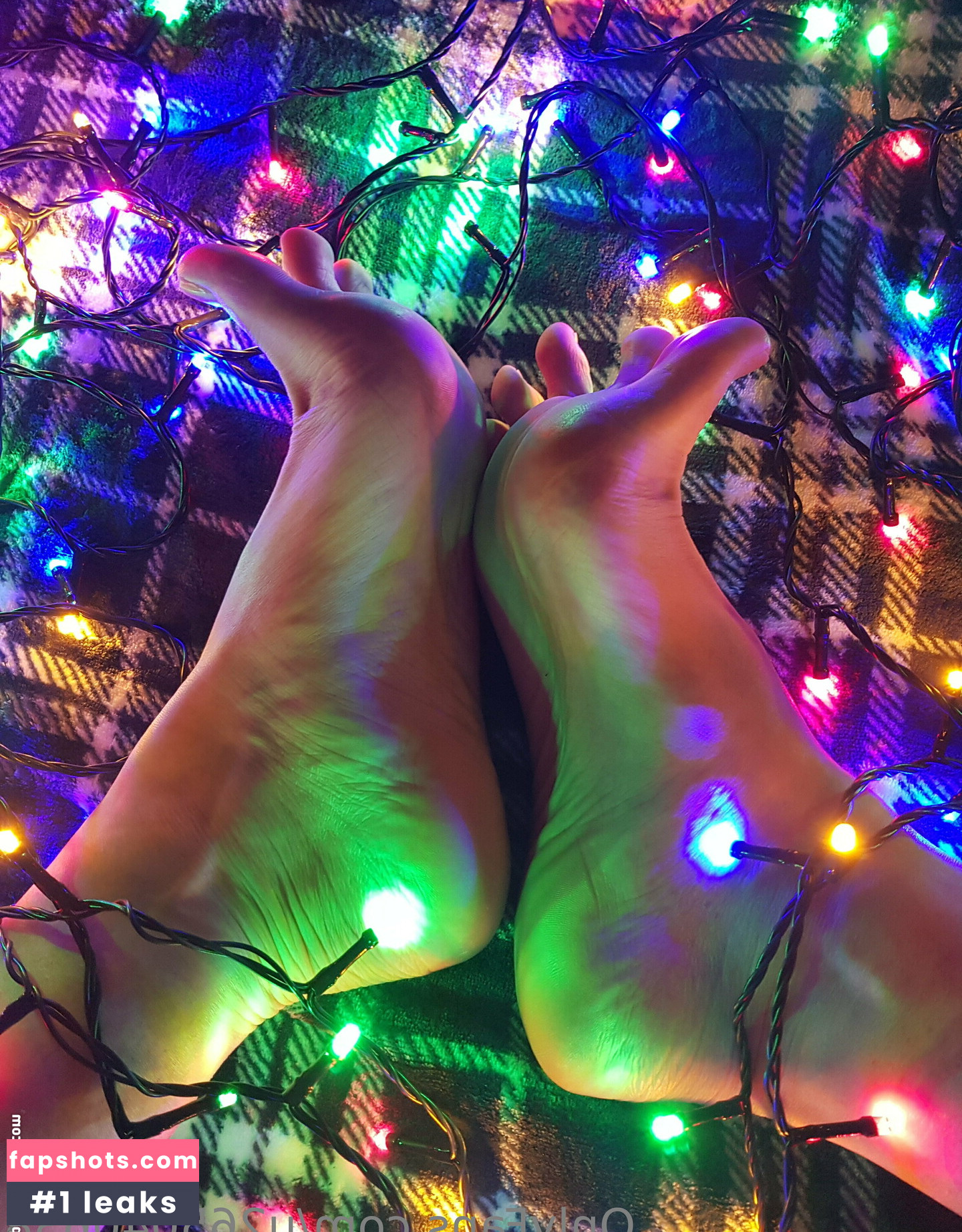 u265040638 gallery photo #3