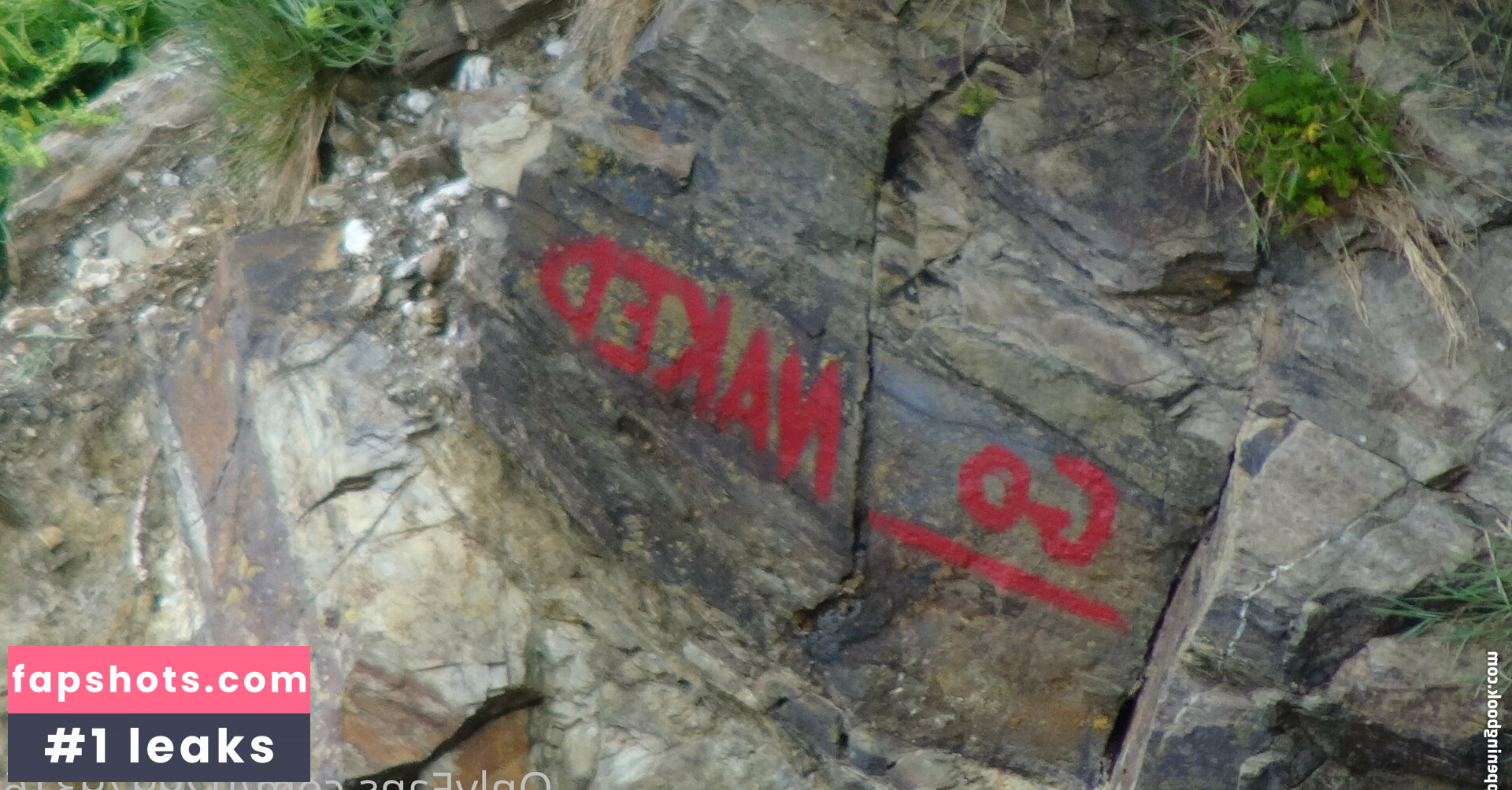 u29979316 gallery photo #44