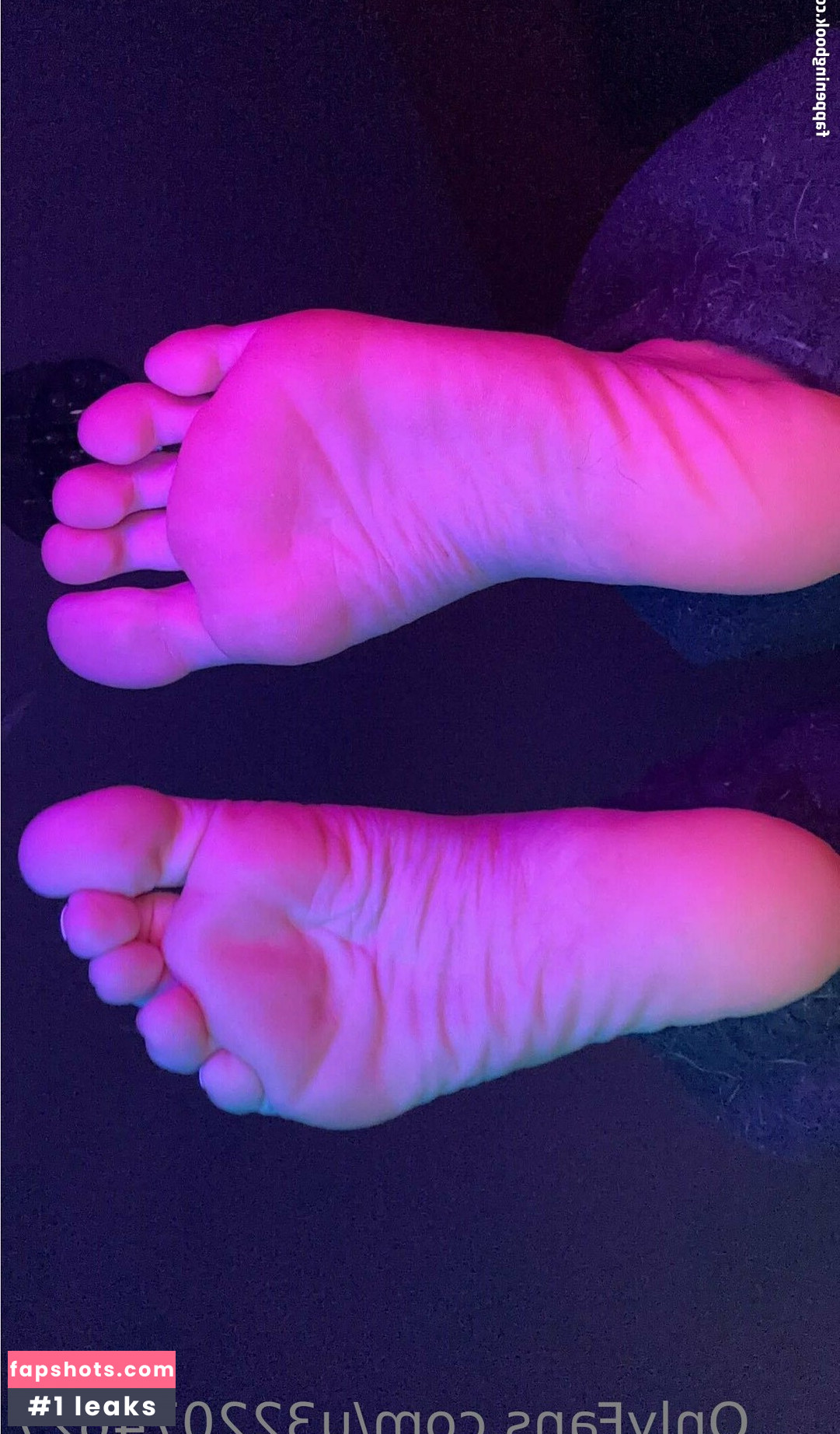 u322074627 gallery photo #22