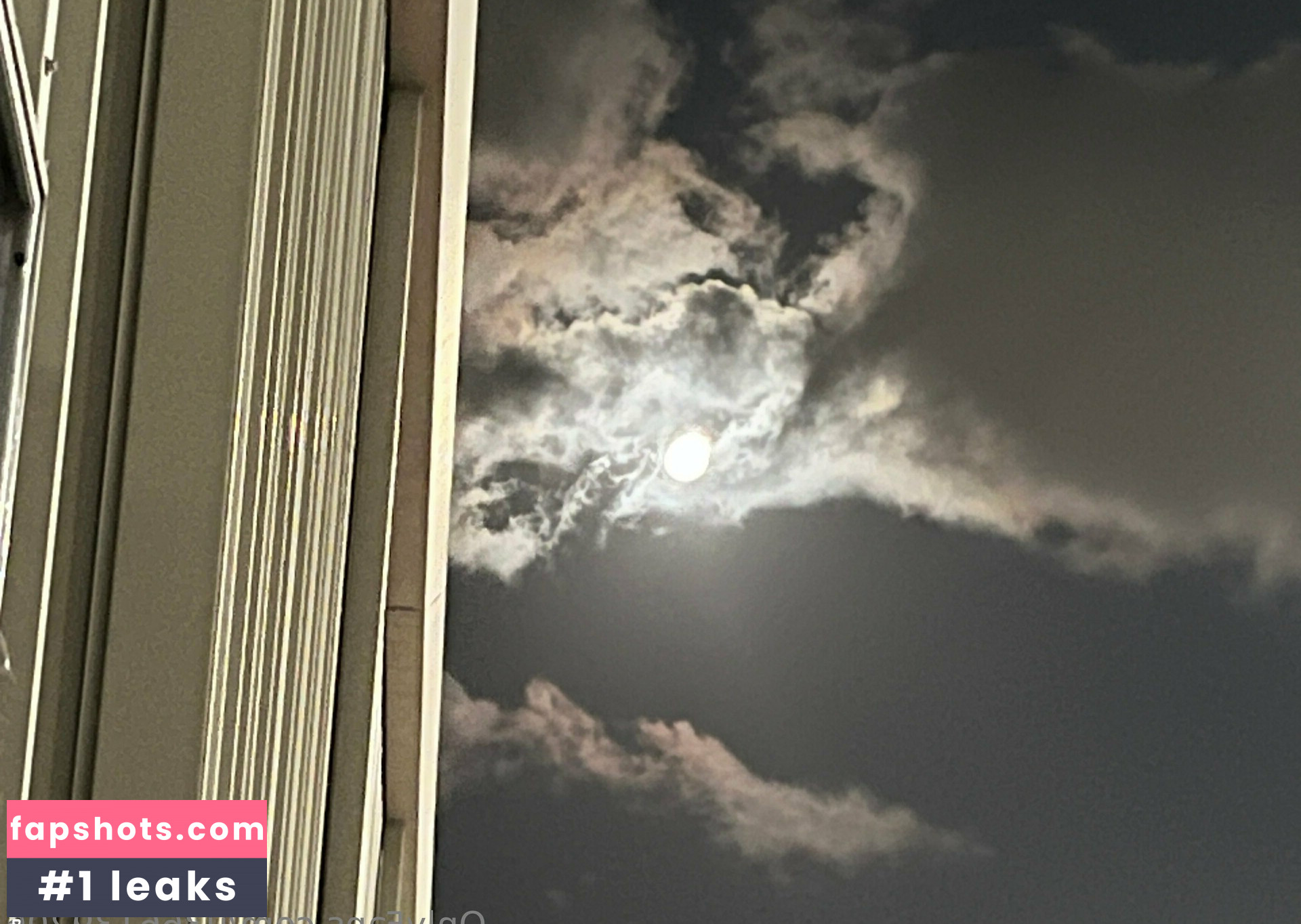 u366139206 gallery photo #3