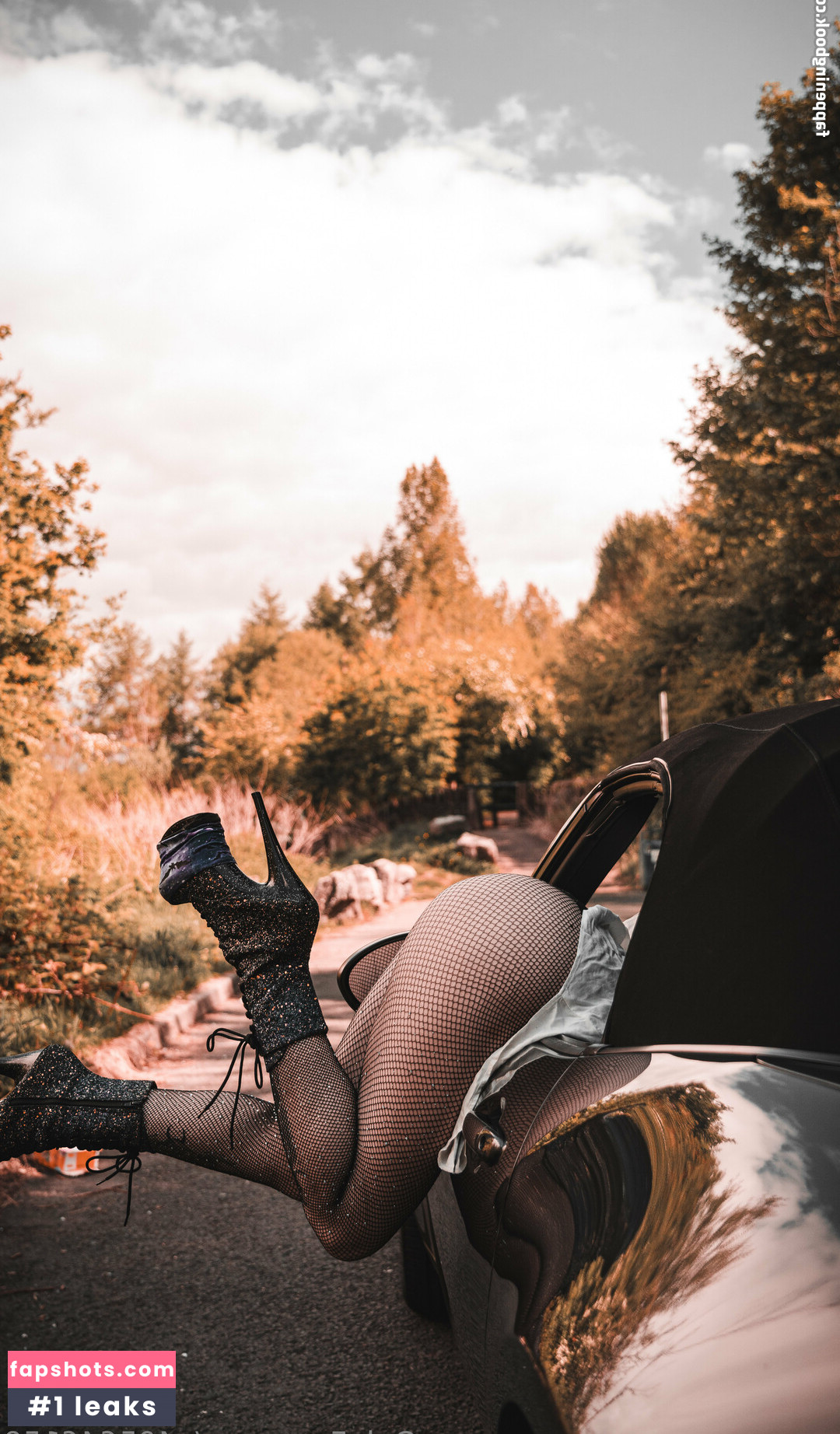 u405646159 gallery photo #21