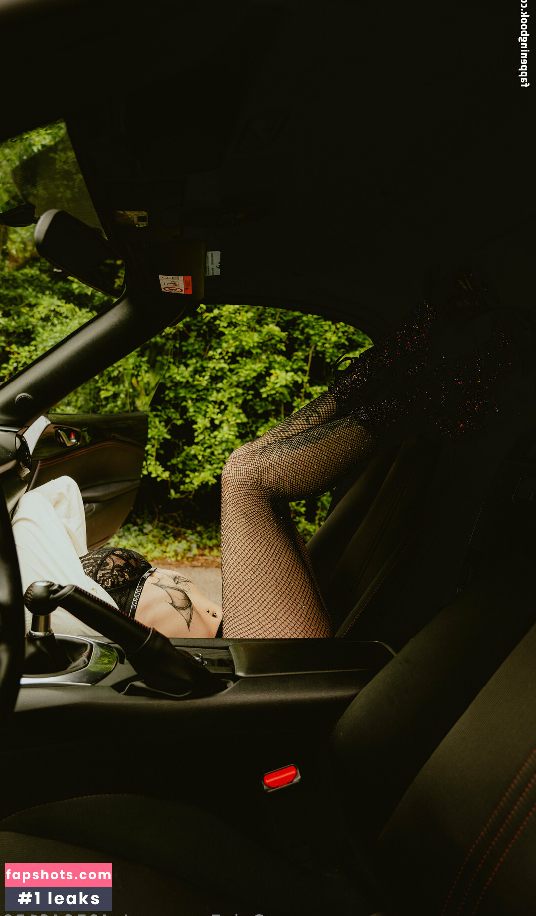 u405646159 gallery photo #25