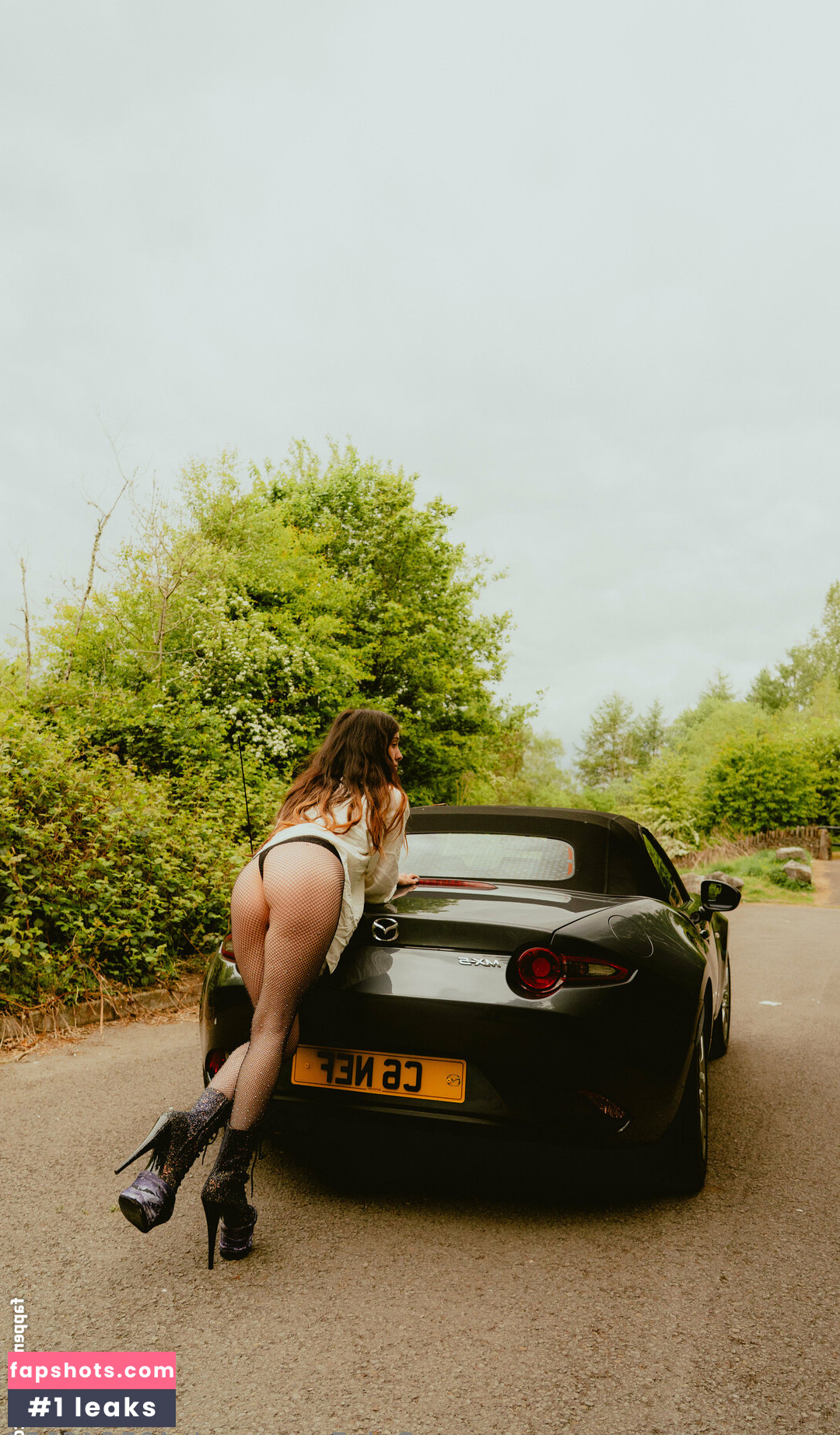 u405646159 gallery photo #26