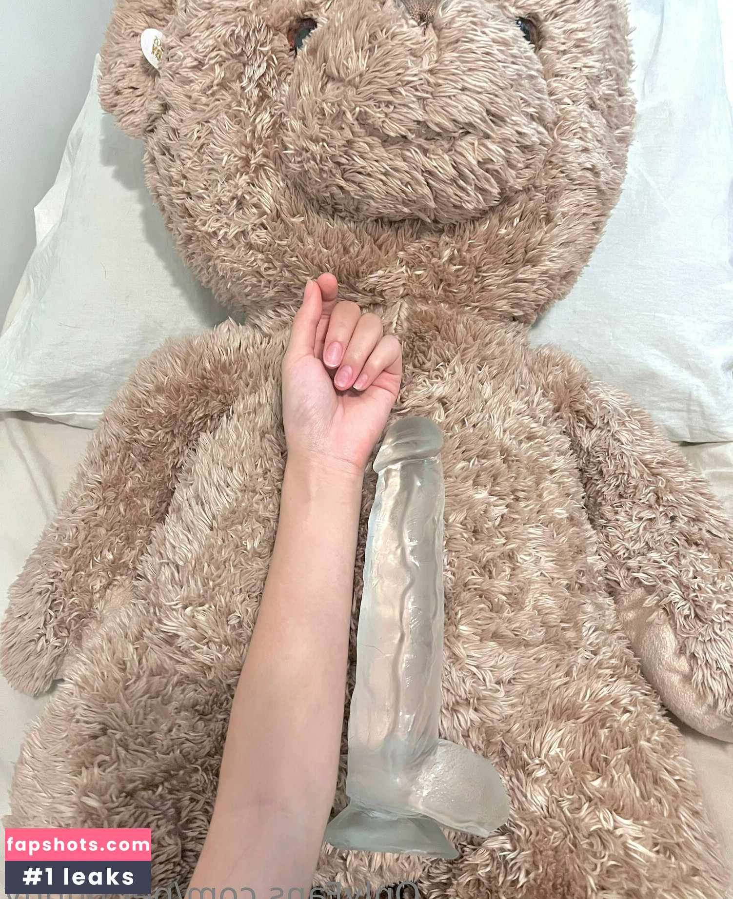 u60555014 gallery photo #7