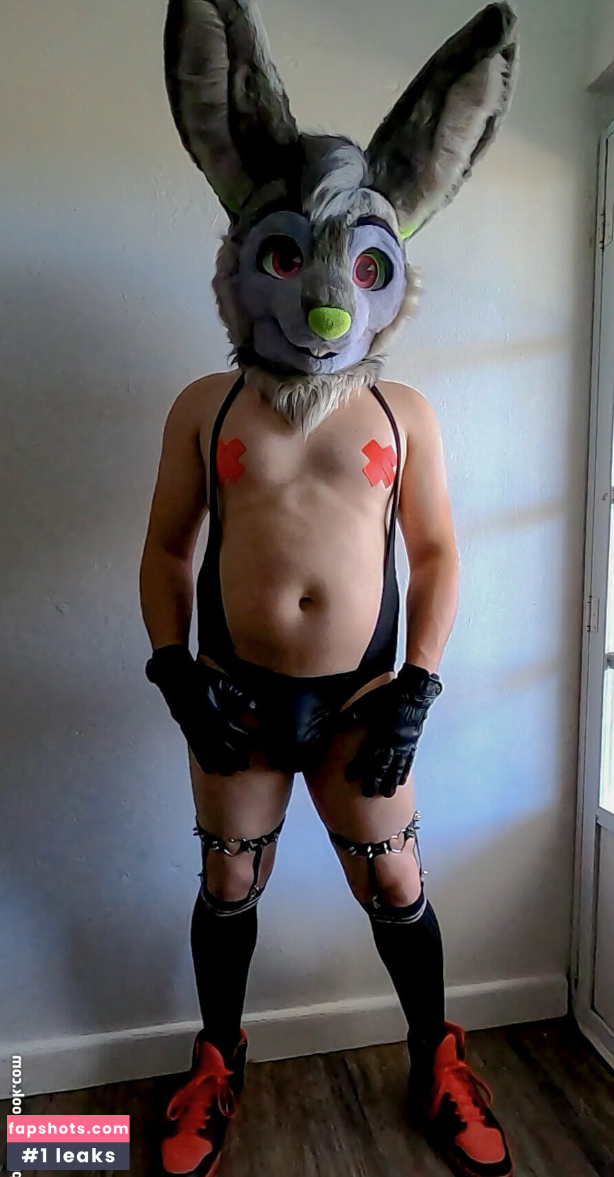 u61976890 gallery photo #12