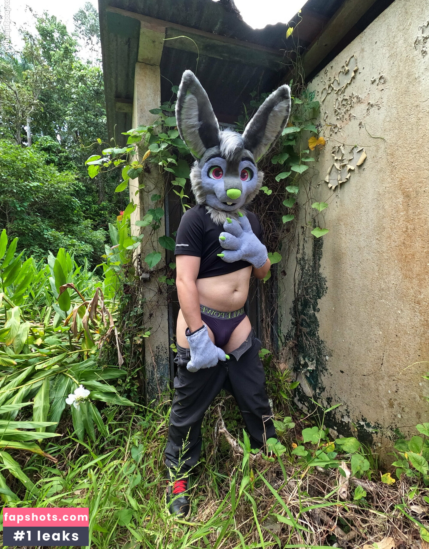 u61976890 gallery photo #15