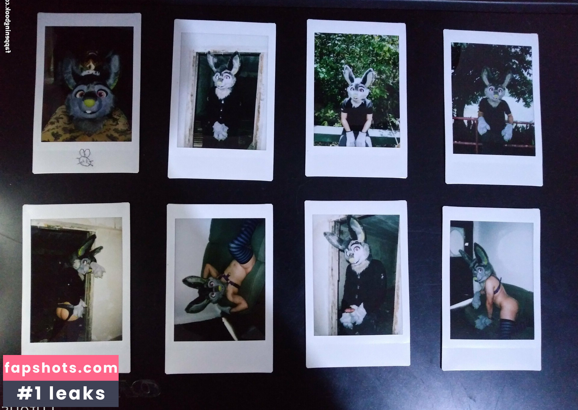 u61976890 gallery photo #21