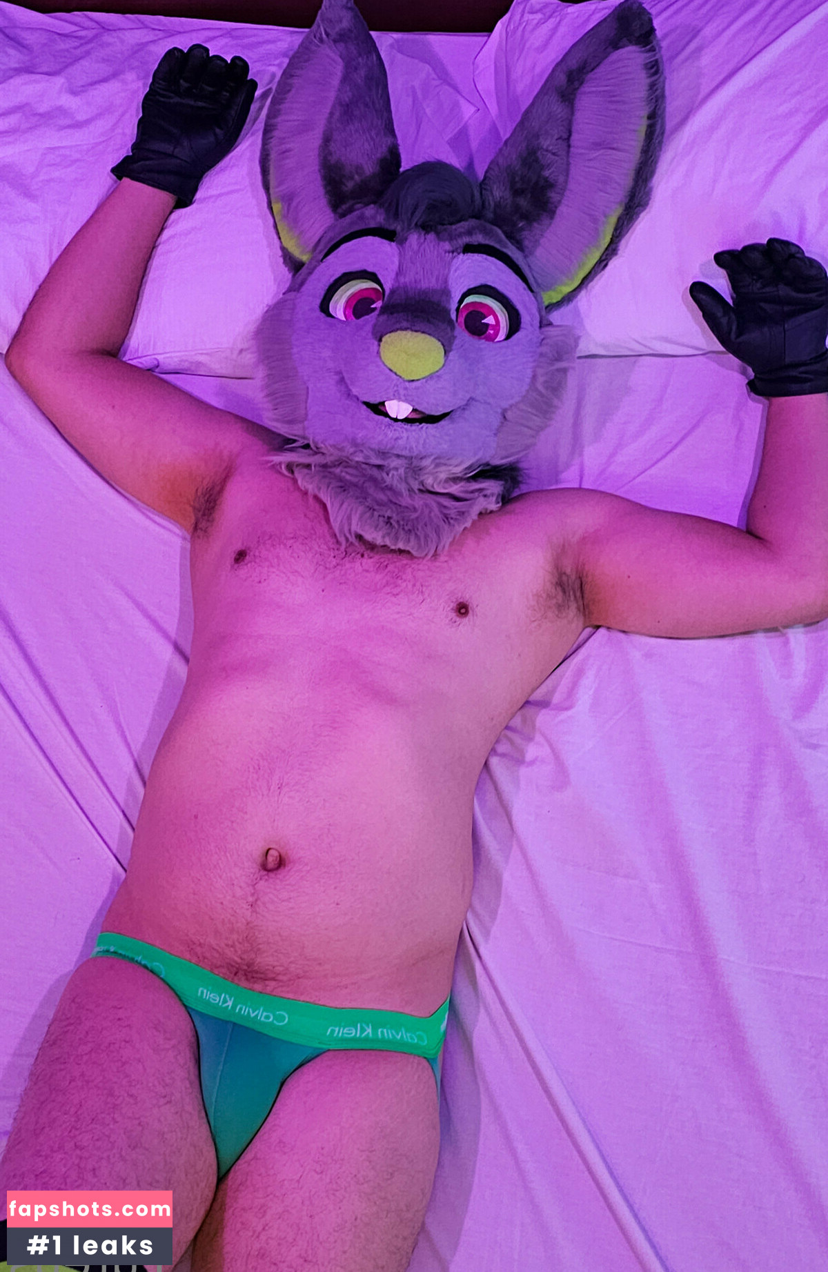 u61976890 gallery photo #4