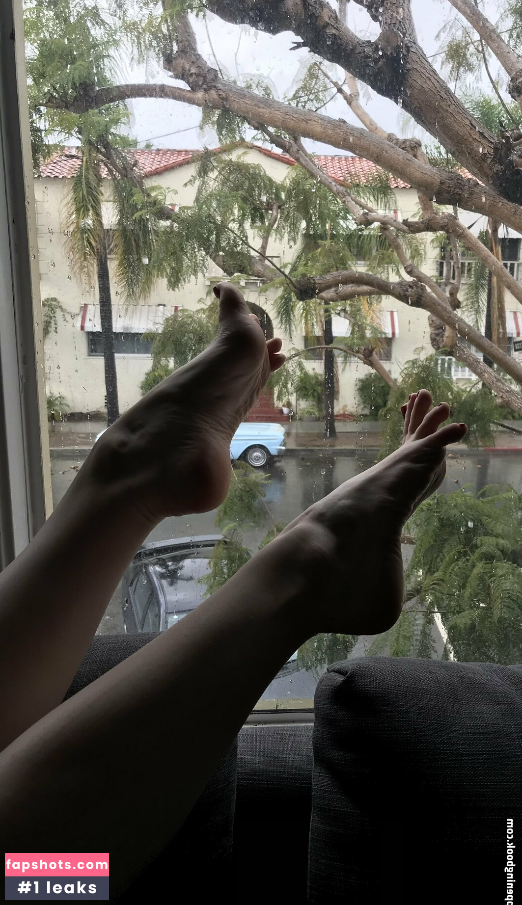 u98826569 gallery photo #26