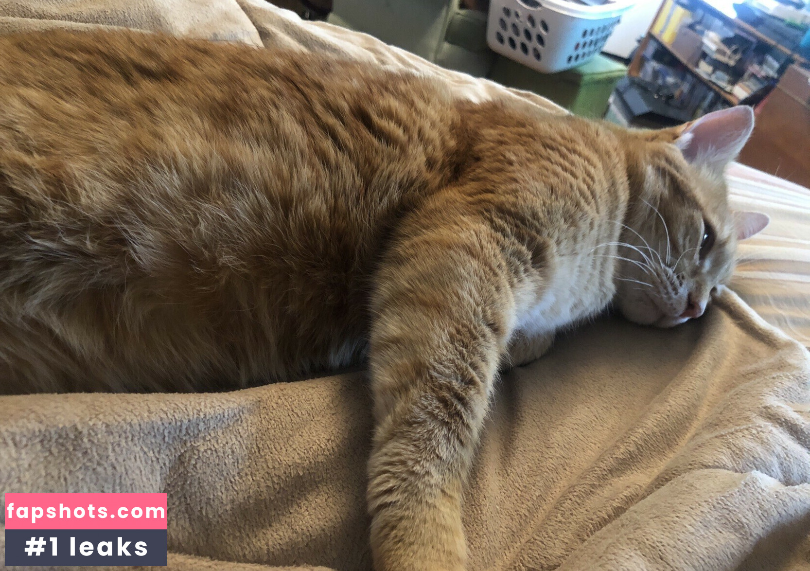 Unacosplayer Nude Leaks OnlyFans Photos #18 - Fapshots