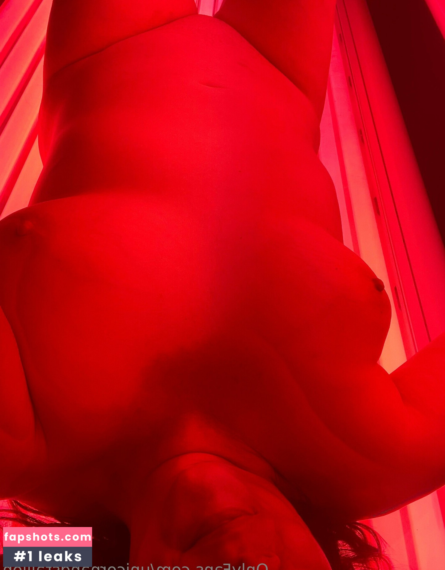 unicornandstallion gallery photo #3