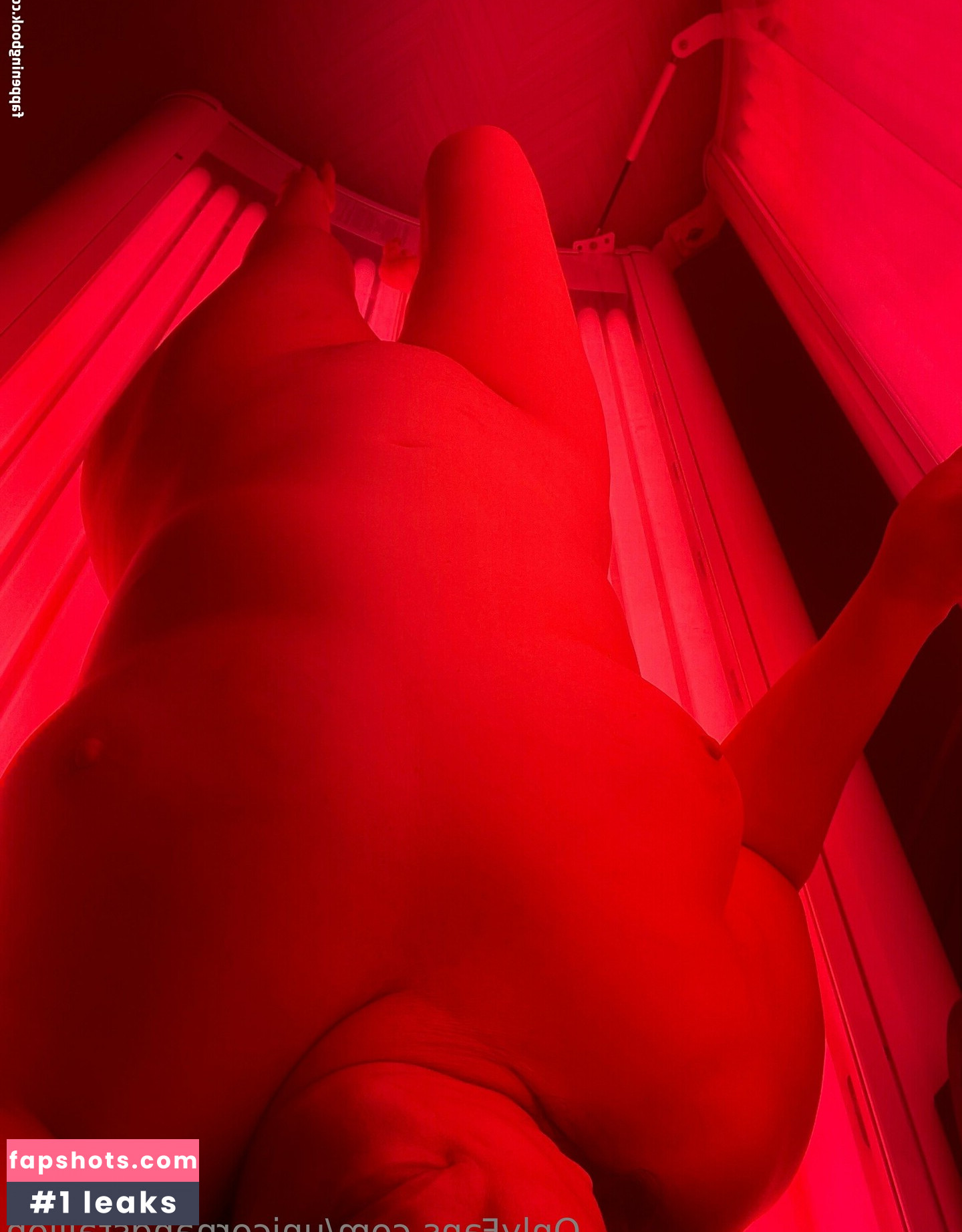 unicornandstallion gallery photo #5