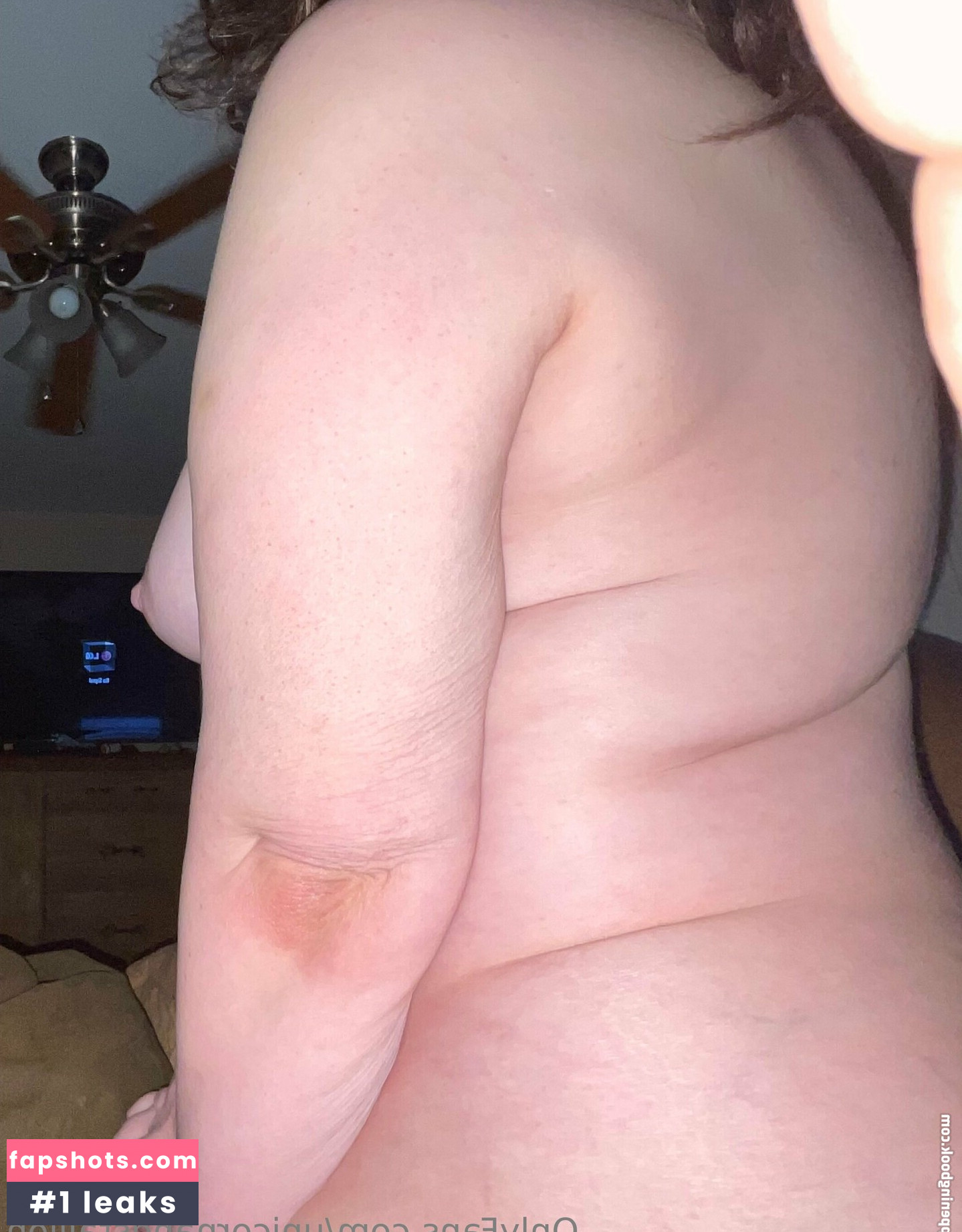 unicornandstallion gallery photo #6