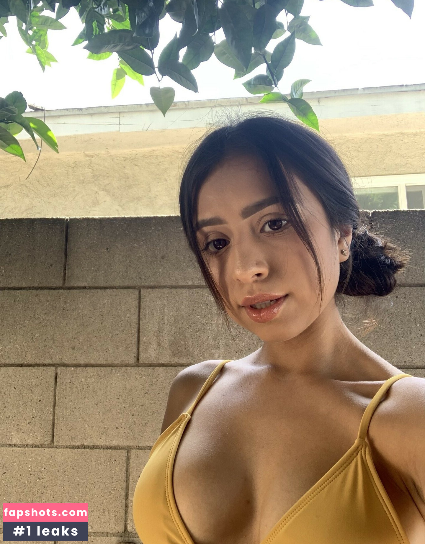 Unique Palacios gallery photo #7