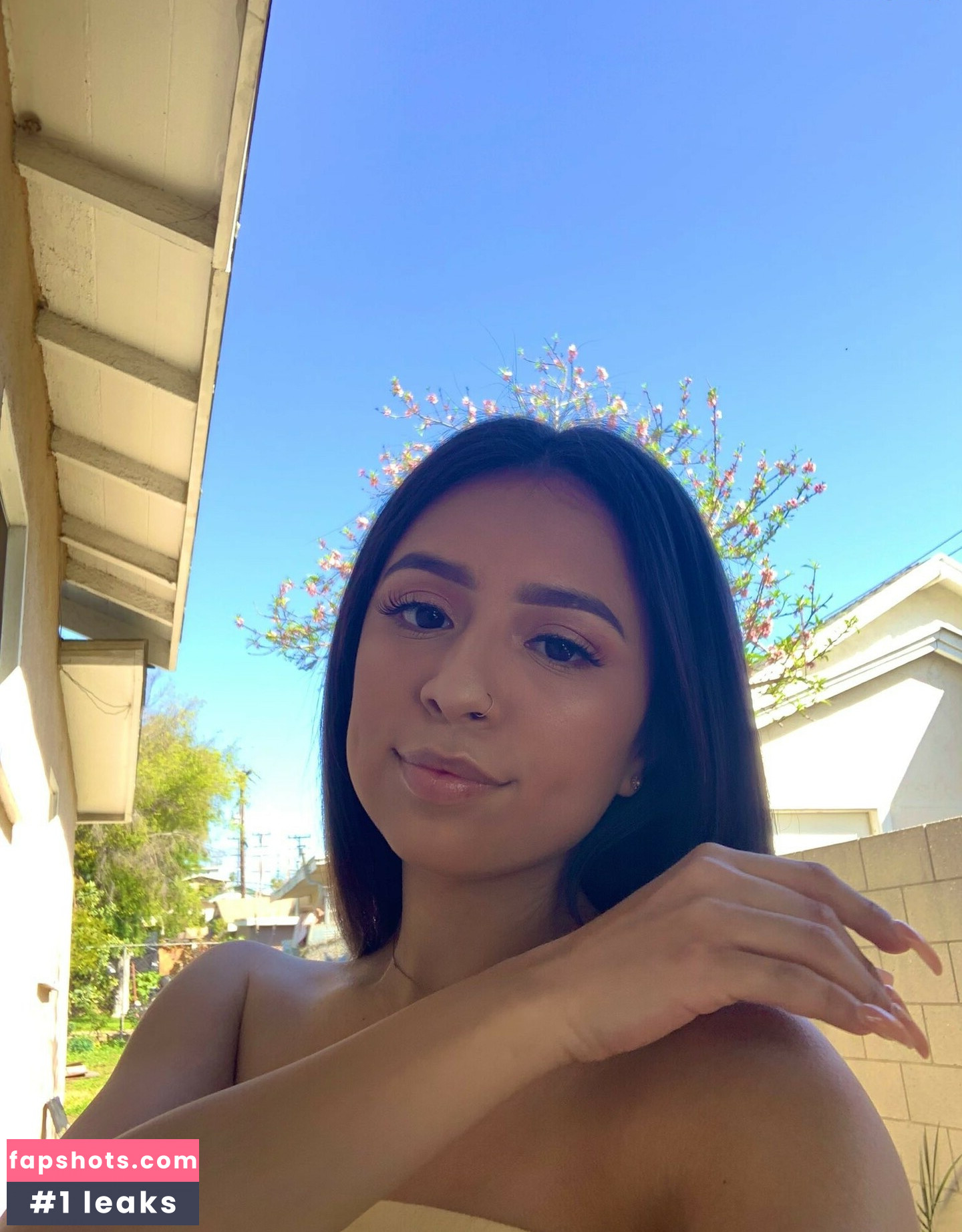 Unique Palacios gallery photo #8