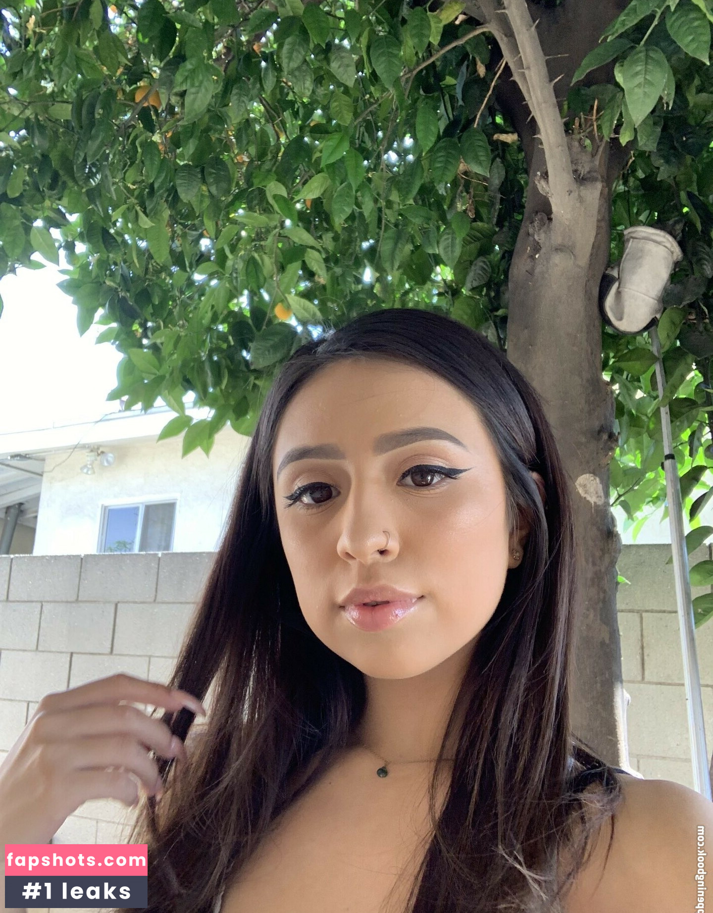 Unique Palacios gallery photo #9