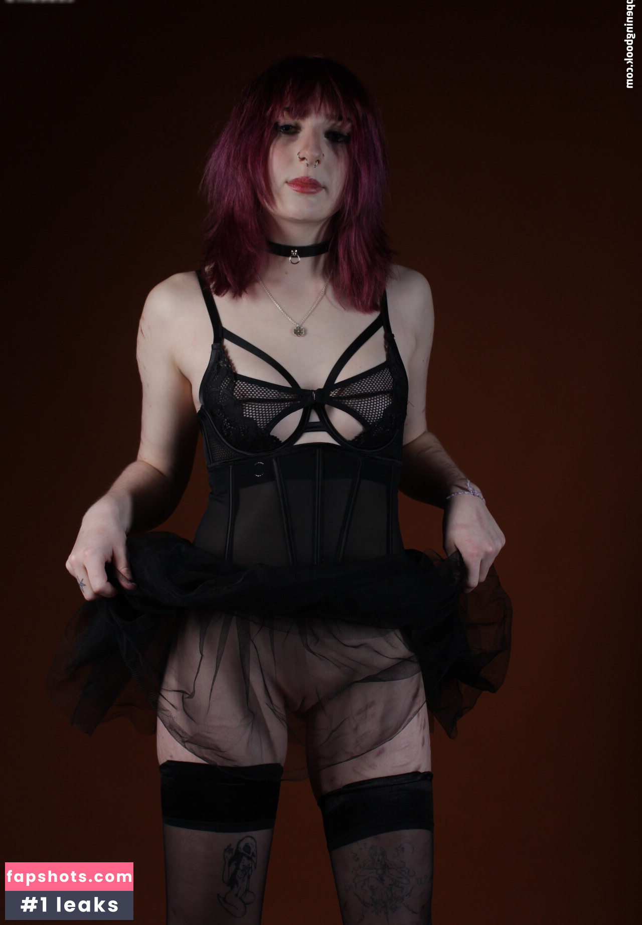 ur_favorite_kitten gallery photo #4