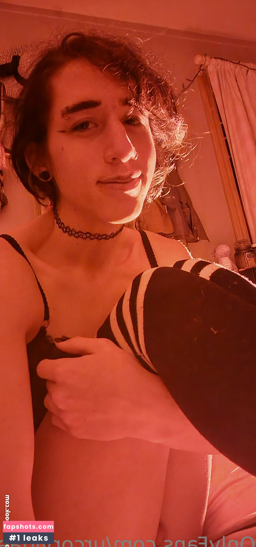 urcorvidae gallery photo #2