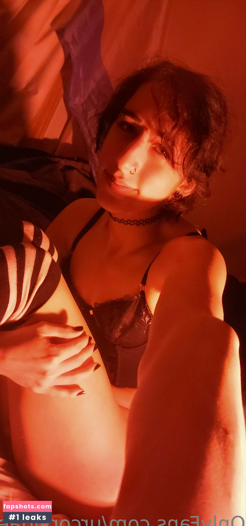 urcorvidae gallery photo #12