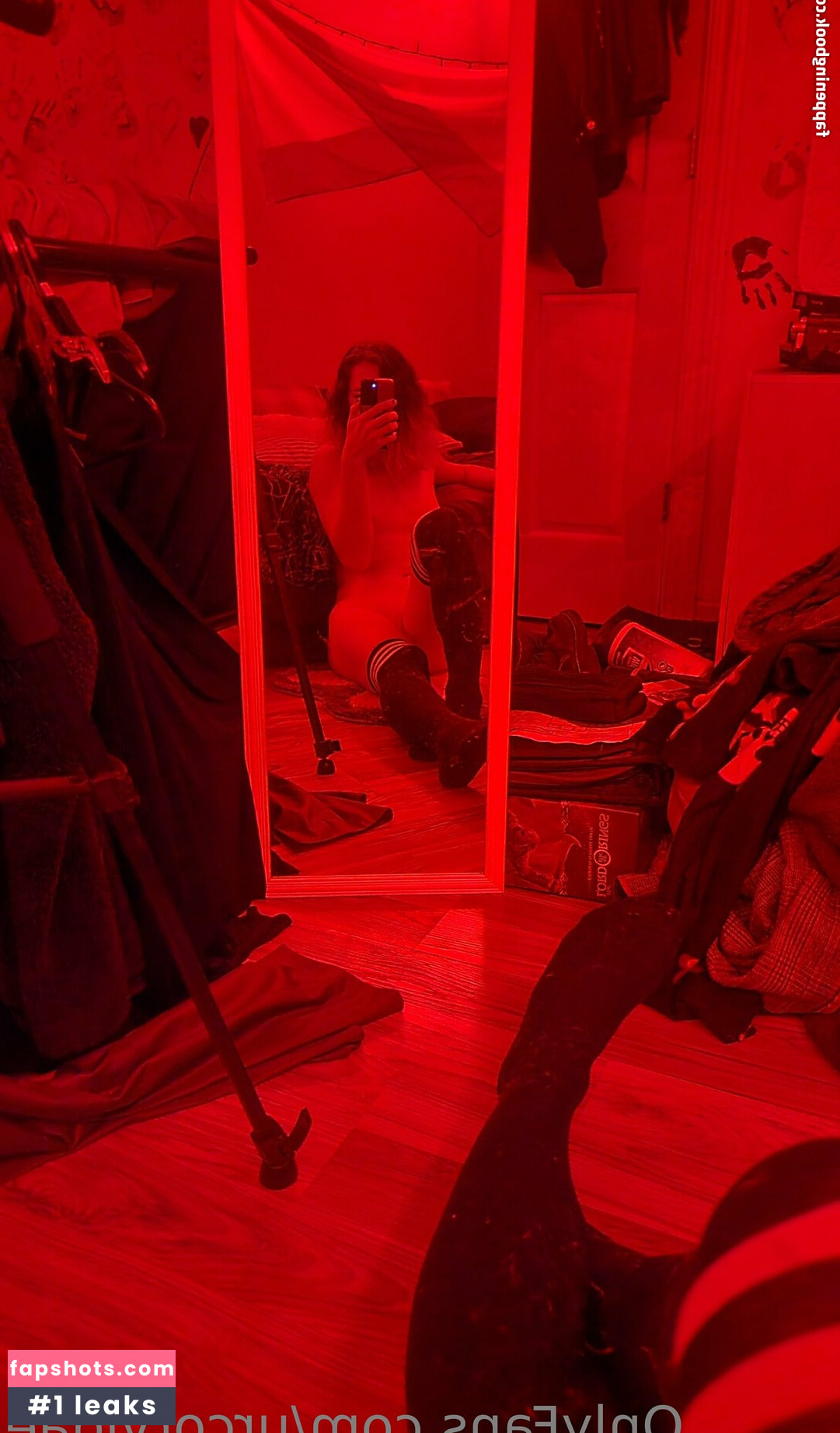 urcorvidae gallery photo #8